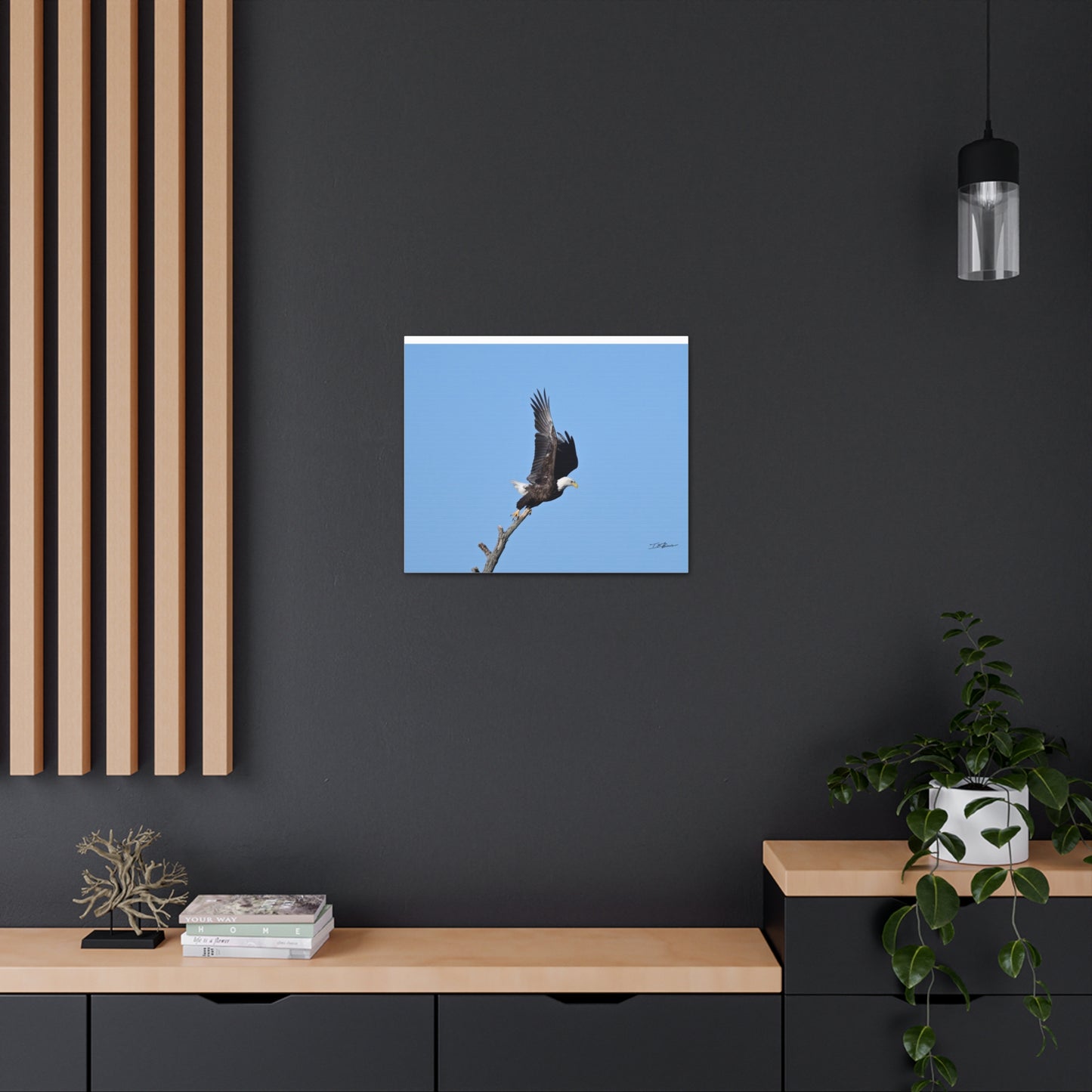 Majestic Bald Eagle Photograph on Canvas