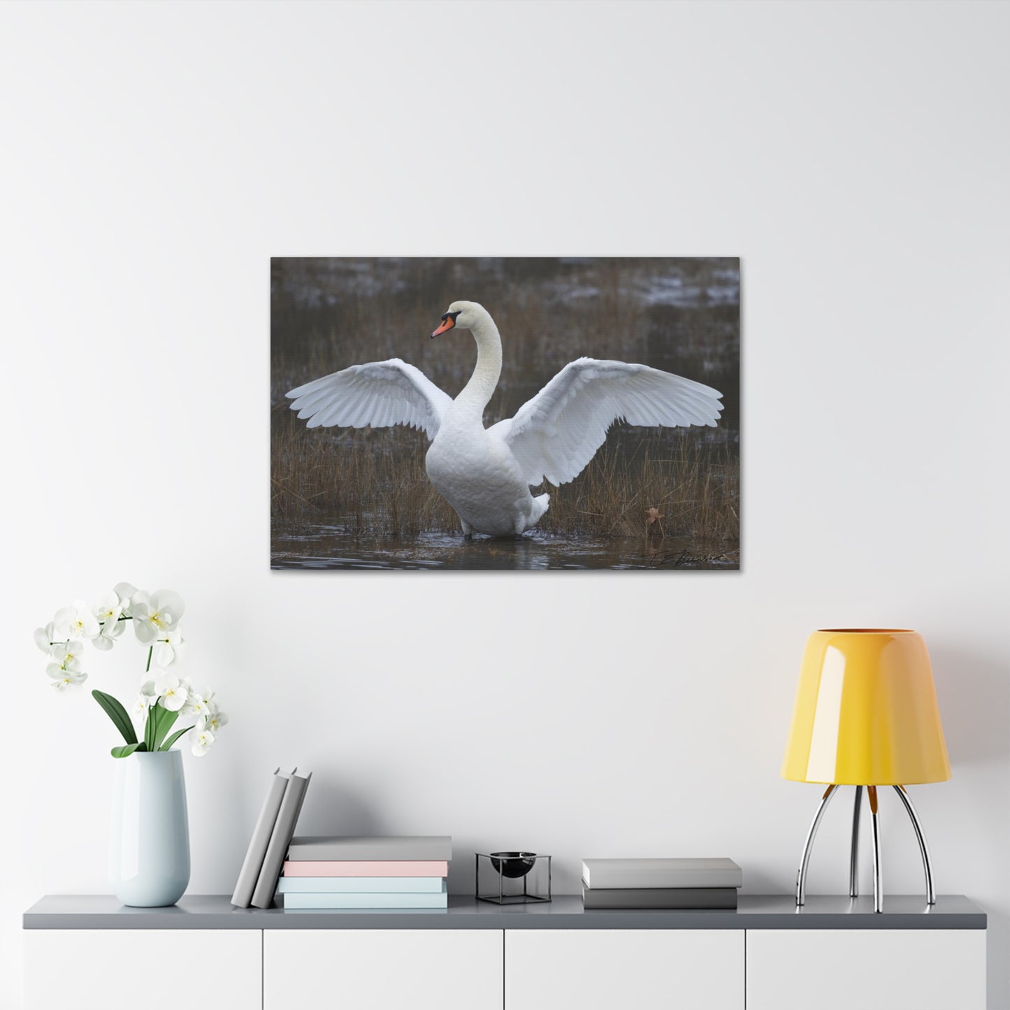 Amazing Swan Photograph on Canvas