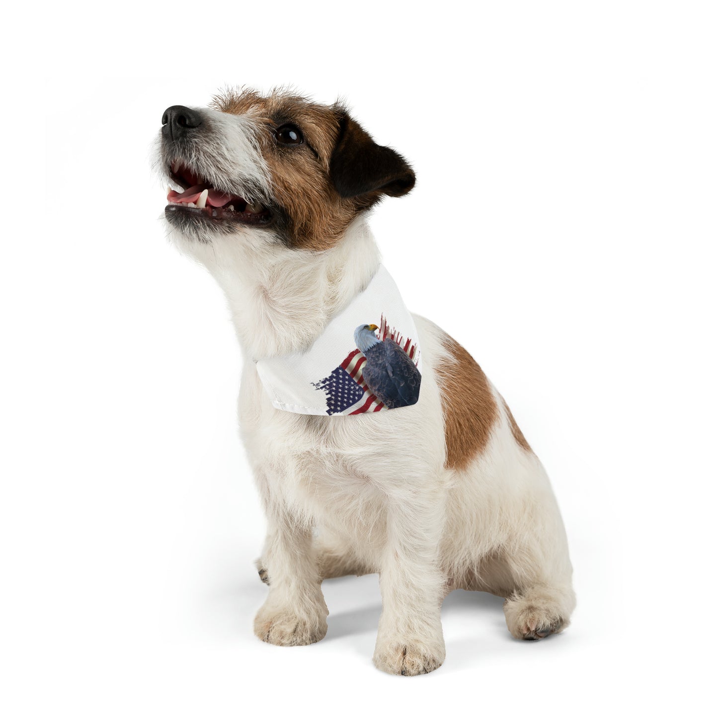 Pet Bandana Collar - American Flag and Eagle