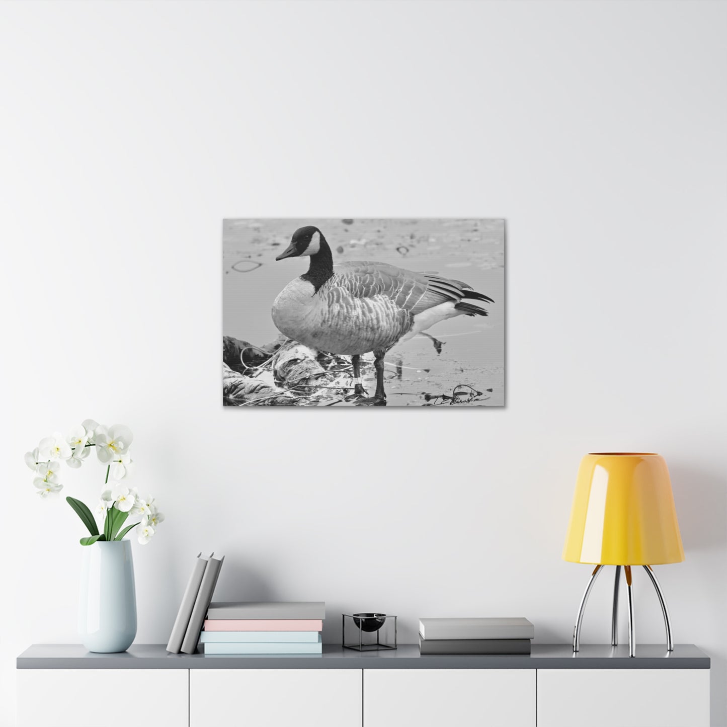 Black and White Photograph of a Banded Goose on Canvas