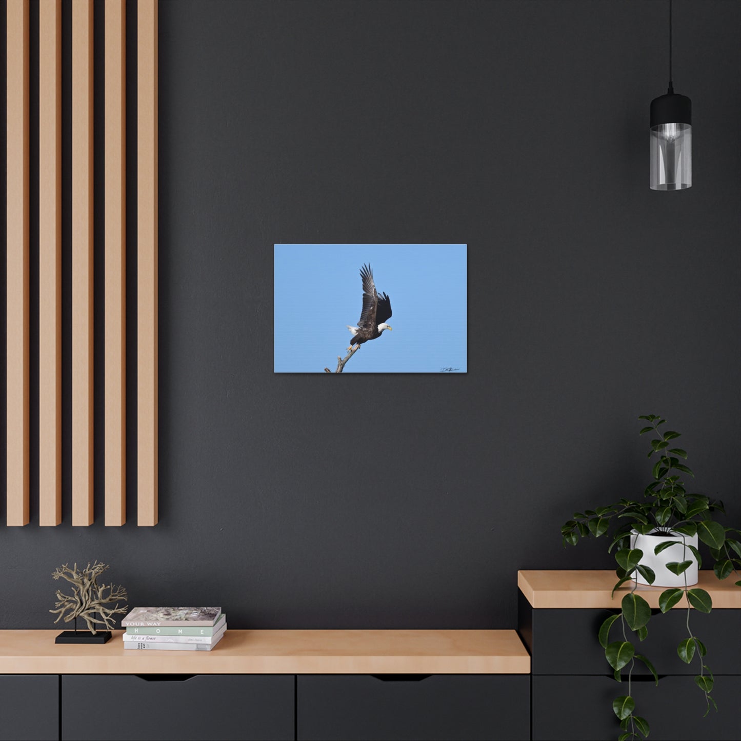 Majestic Bald Eagle Photograph on Canvas