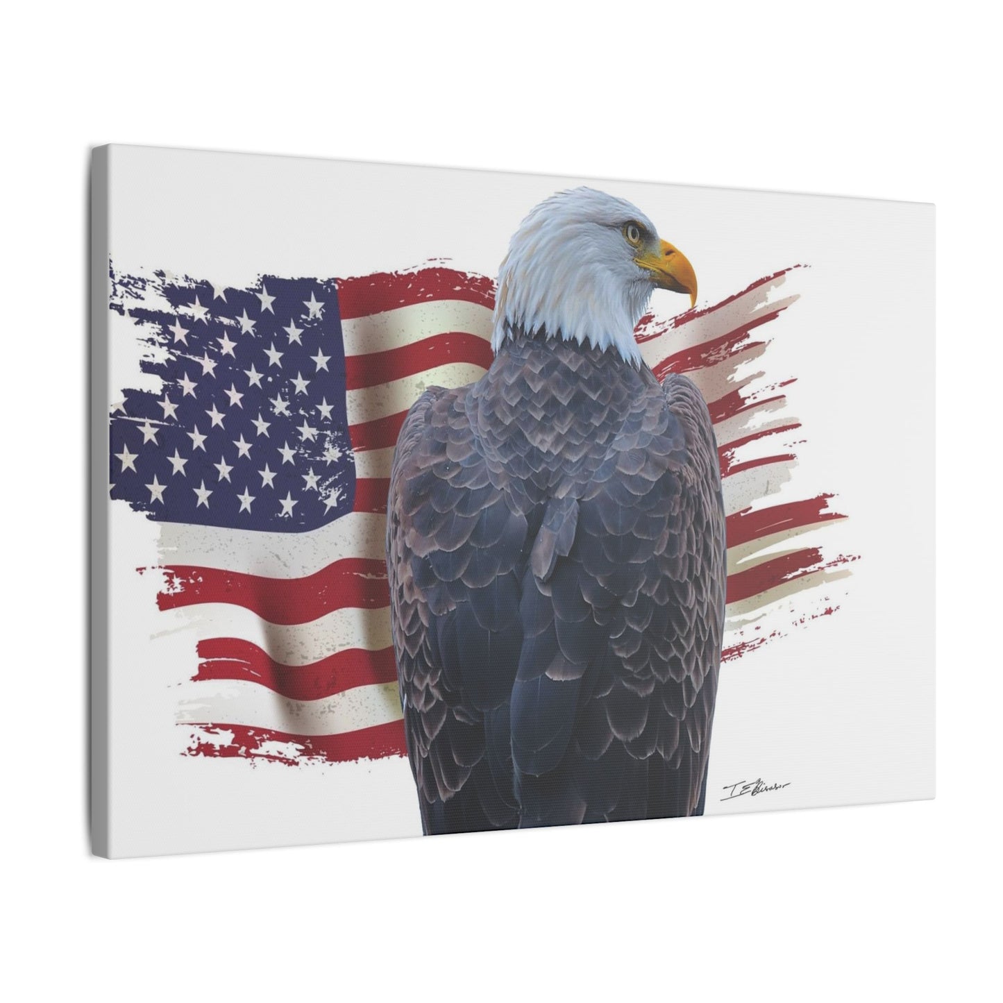 All American Artwork - Bald Eagle and American Flag