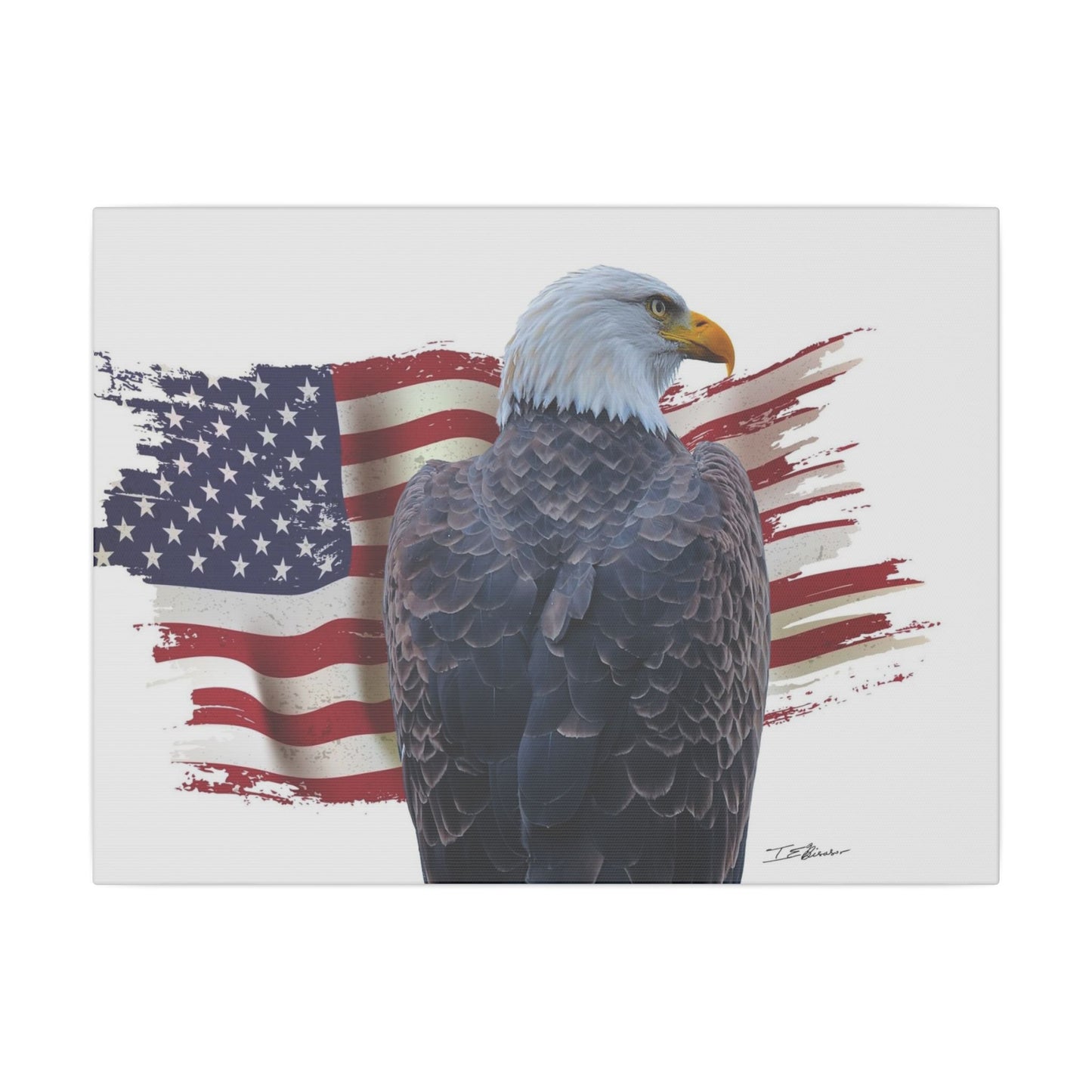 All American Artwork - Bald Eagle and American Flag