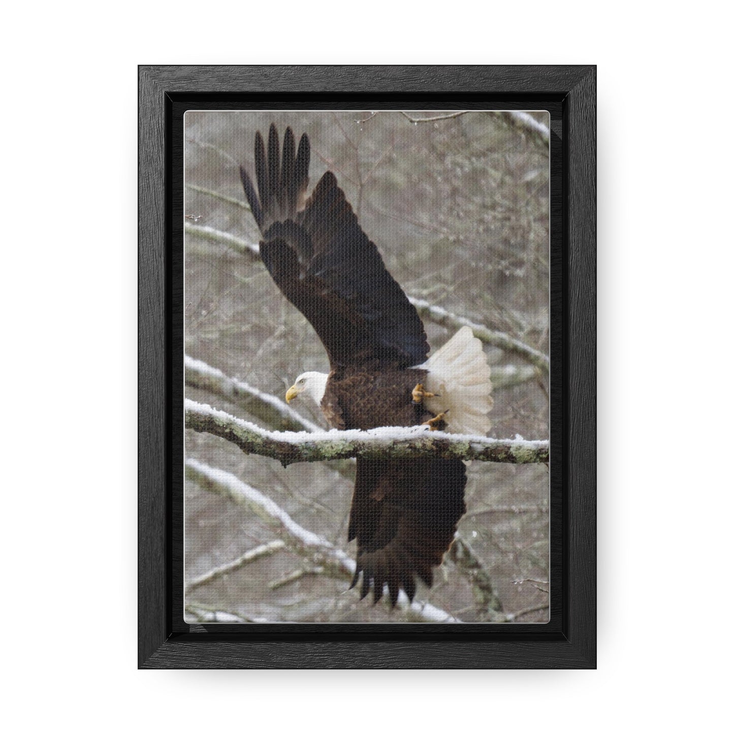 Gallery Canvas Wraps, Vertical Frame
