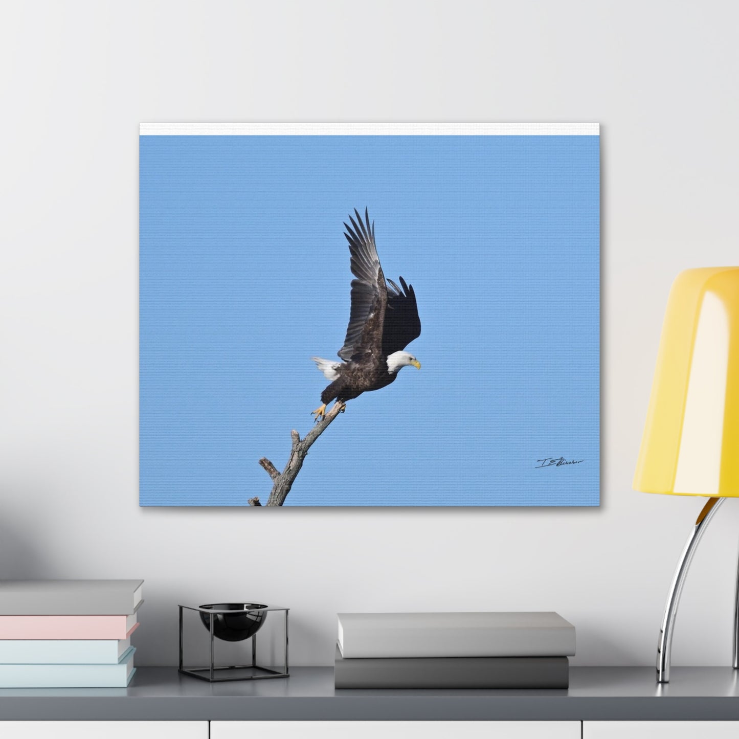 Majestic Bald Eagle Photograph on Canvas