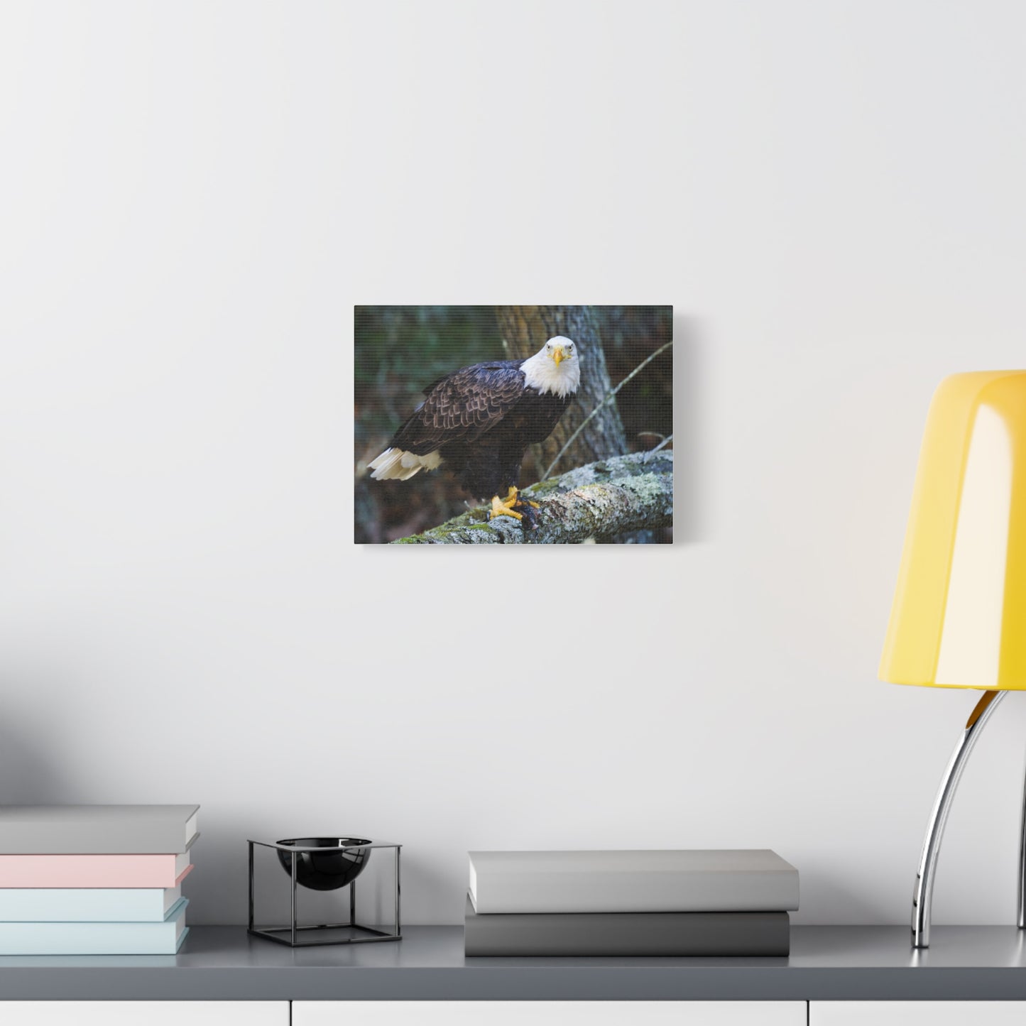 Bald Eagle Canvas Wall Art - Nature Decor for Wildlife Lovers