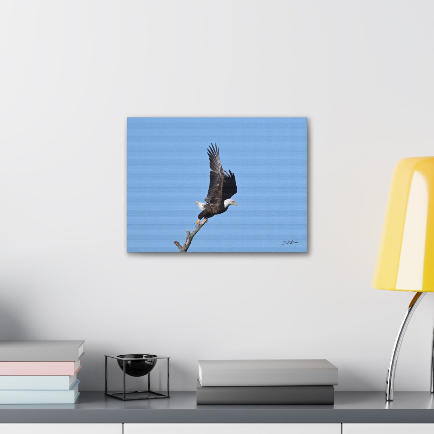 Majestic Bald Eagle Photograph on Canvas