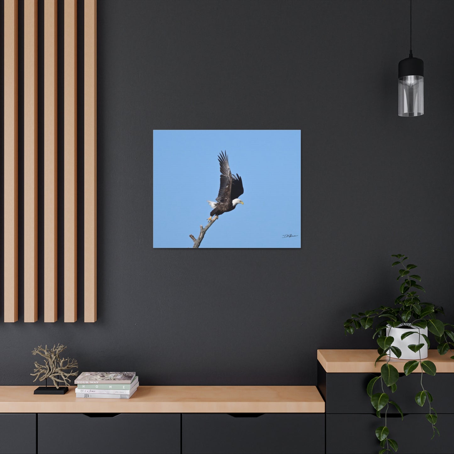 Majestic Bald Eagle Photograph on Canvas