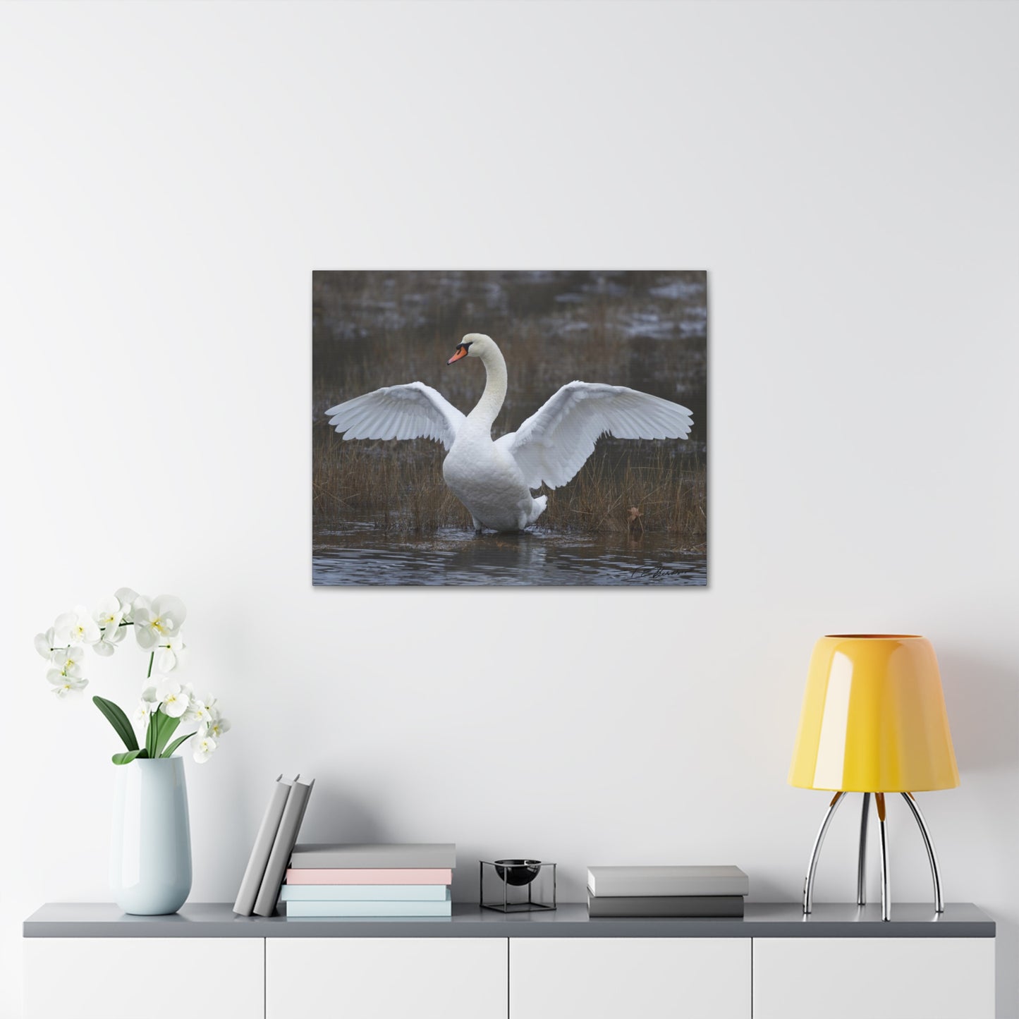 Amazing Swan Photograph on Canvas