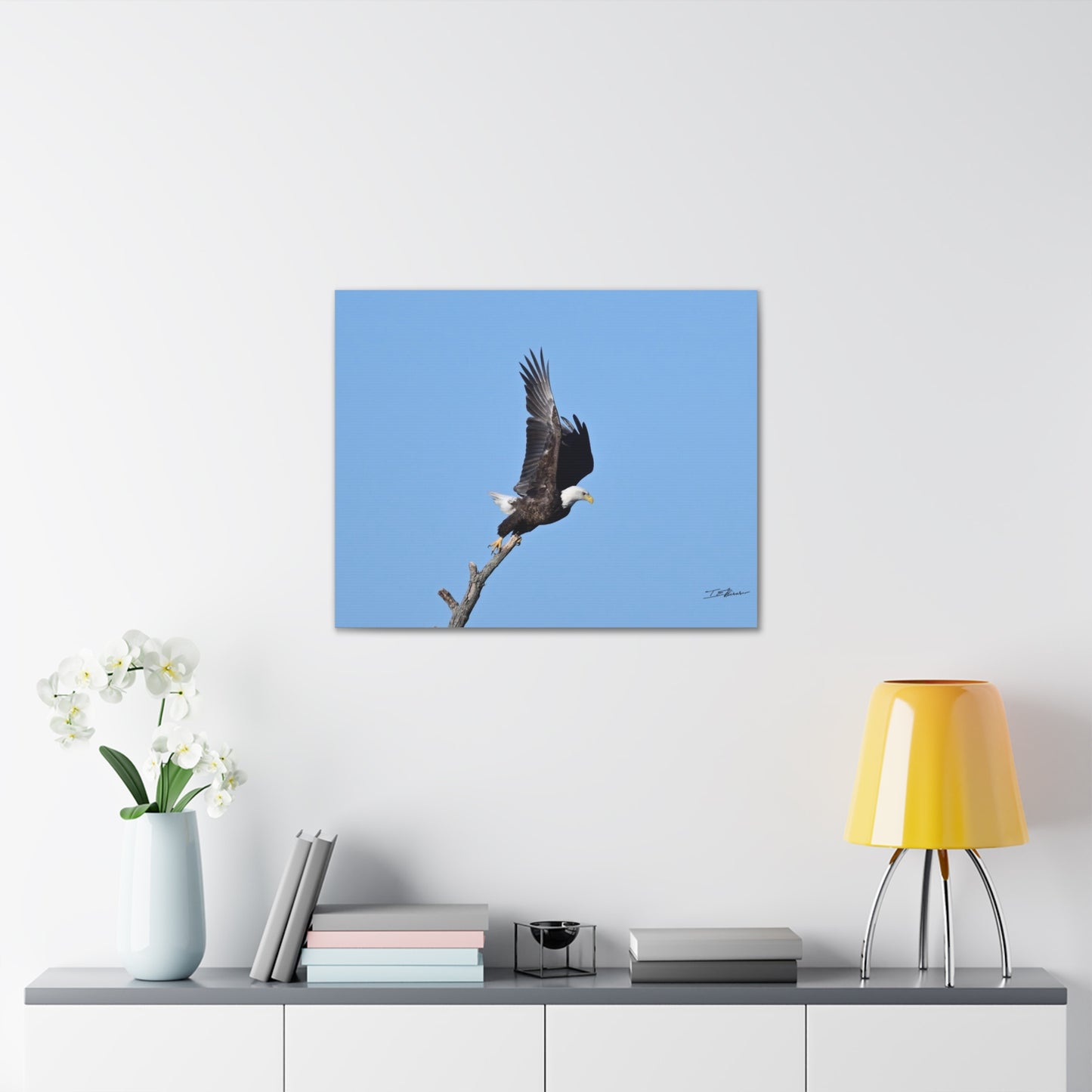 Majestic Bald Eagle Photograph on Canvas