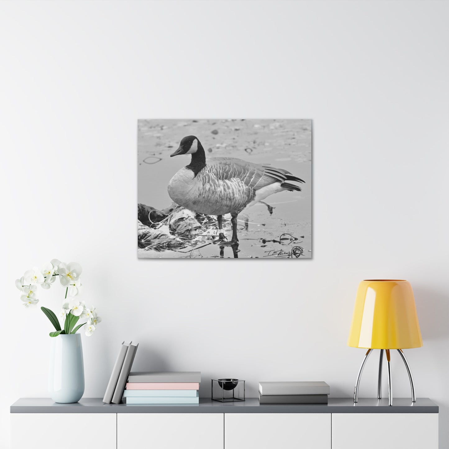 Black and White Photograph of a Banded Goose on Canvas