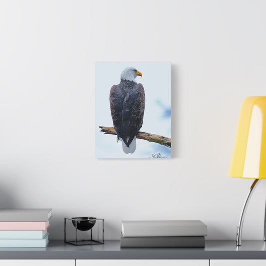 Beautiful Eagle Matte Canvas Wall Art - Nature Decor for Bird and Wildlife Lovers