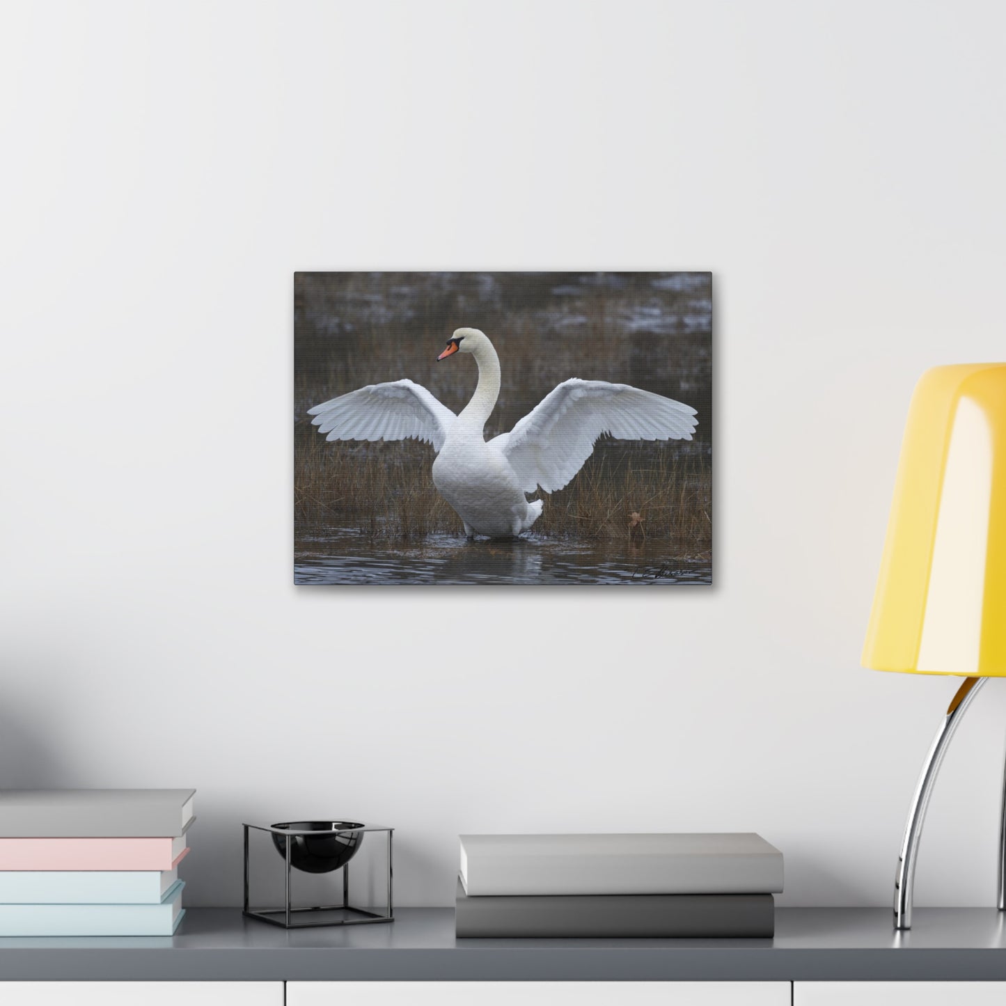 Amazing Swan Photograph on Canvas