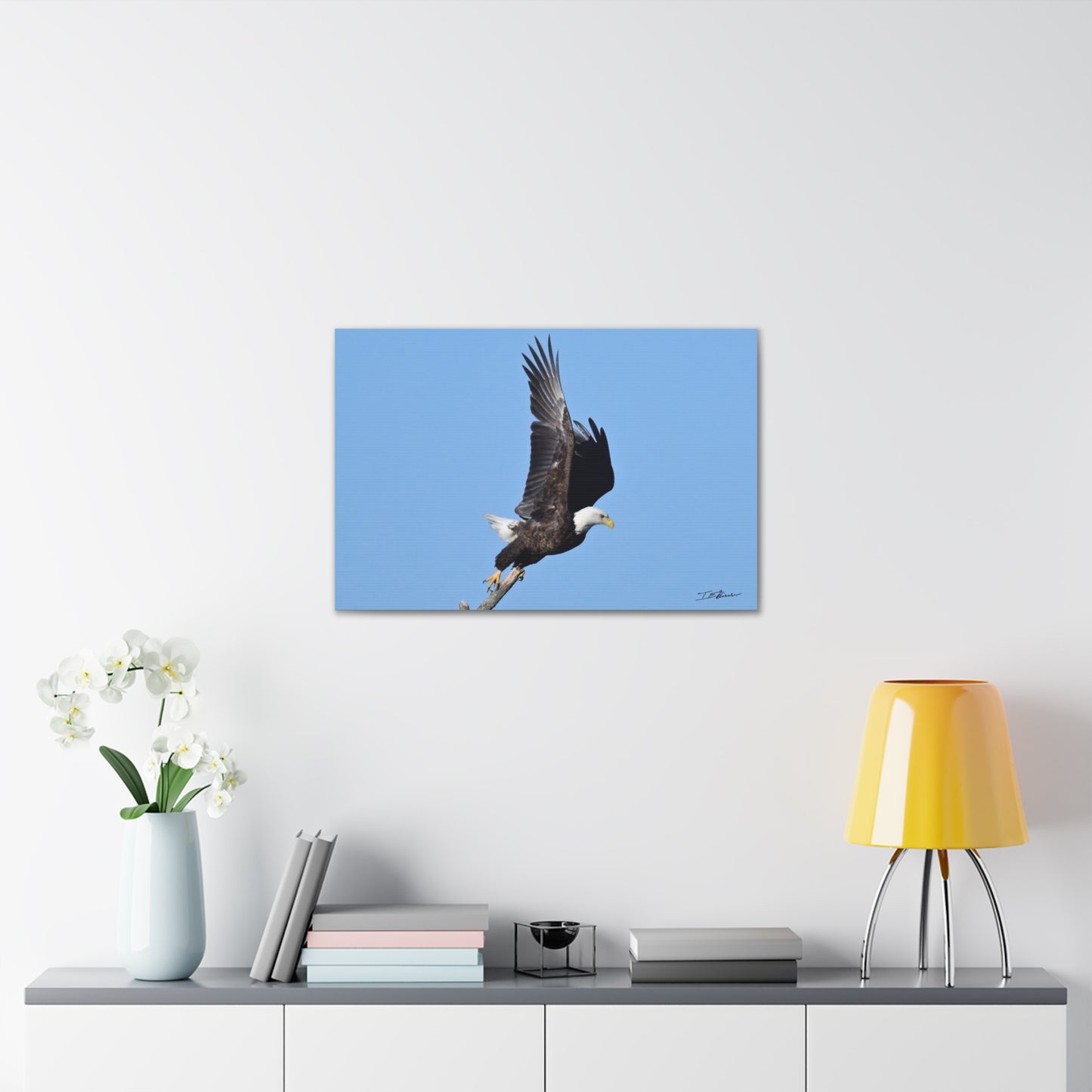 Majestic Bald Eagle Photograph on Canvas