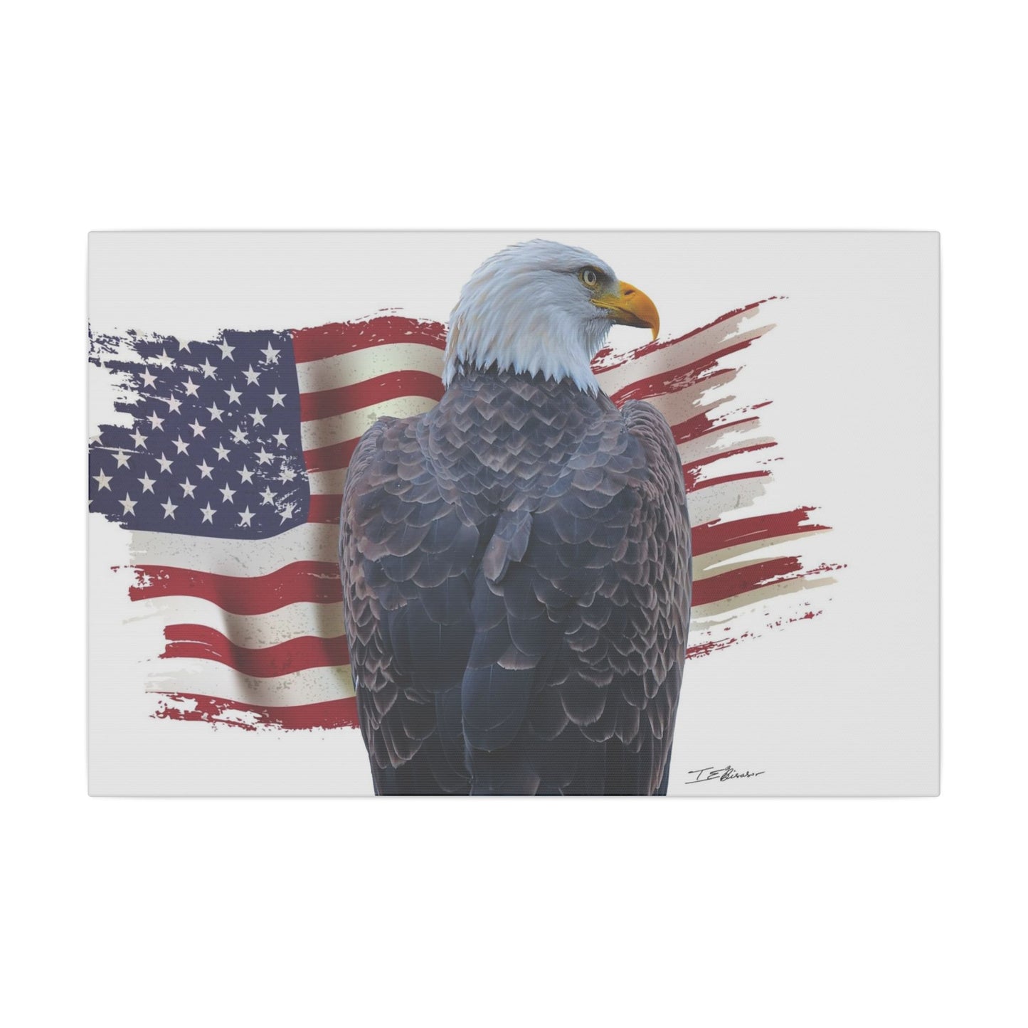 All American Artwork - Bald Eagle and American Flag