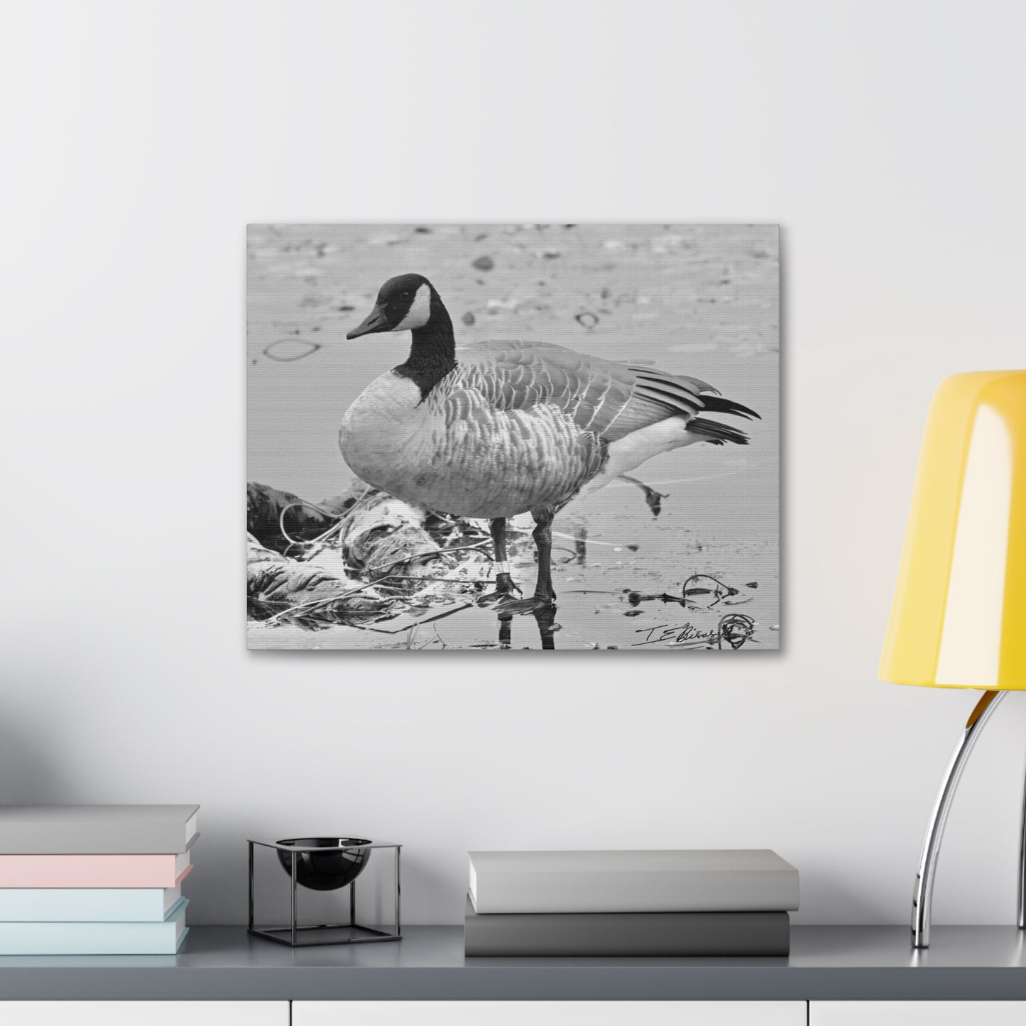 Black and White Photograph of a Banded Goose on Canvas