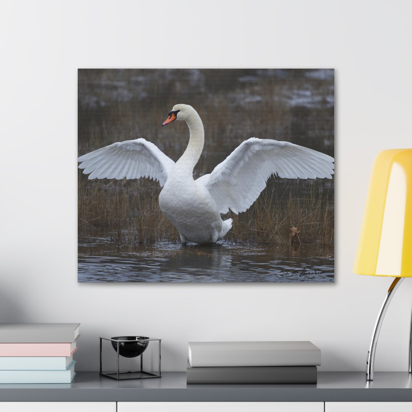 Amazing Swan Photograph on Canvas