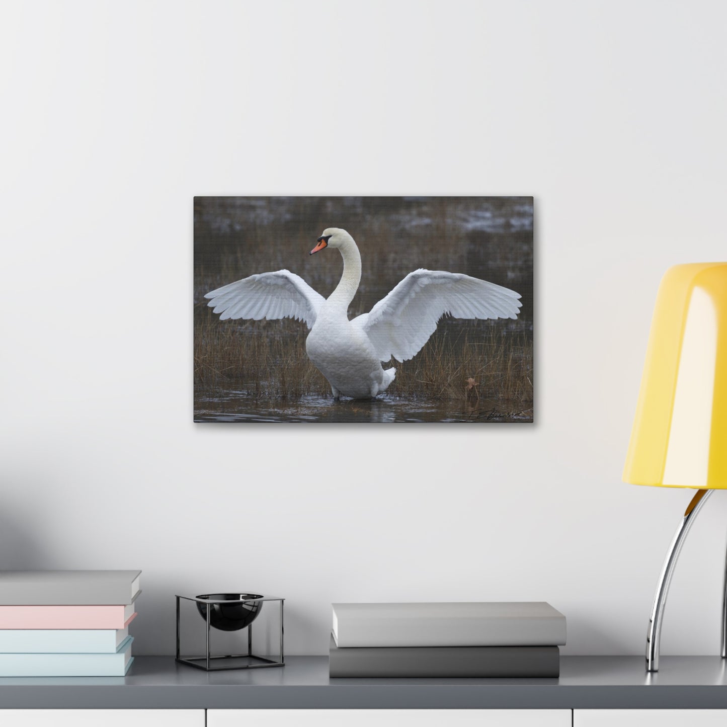 Amazing Swan Photograph on Canvas