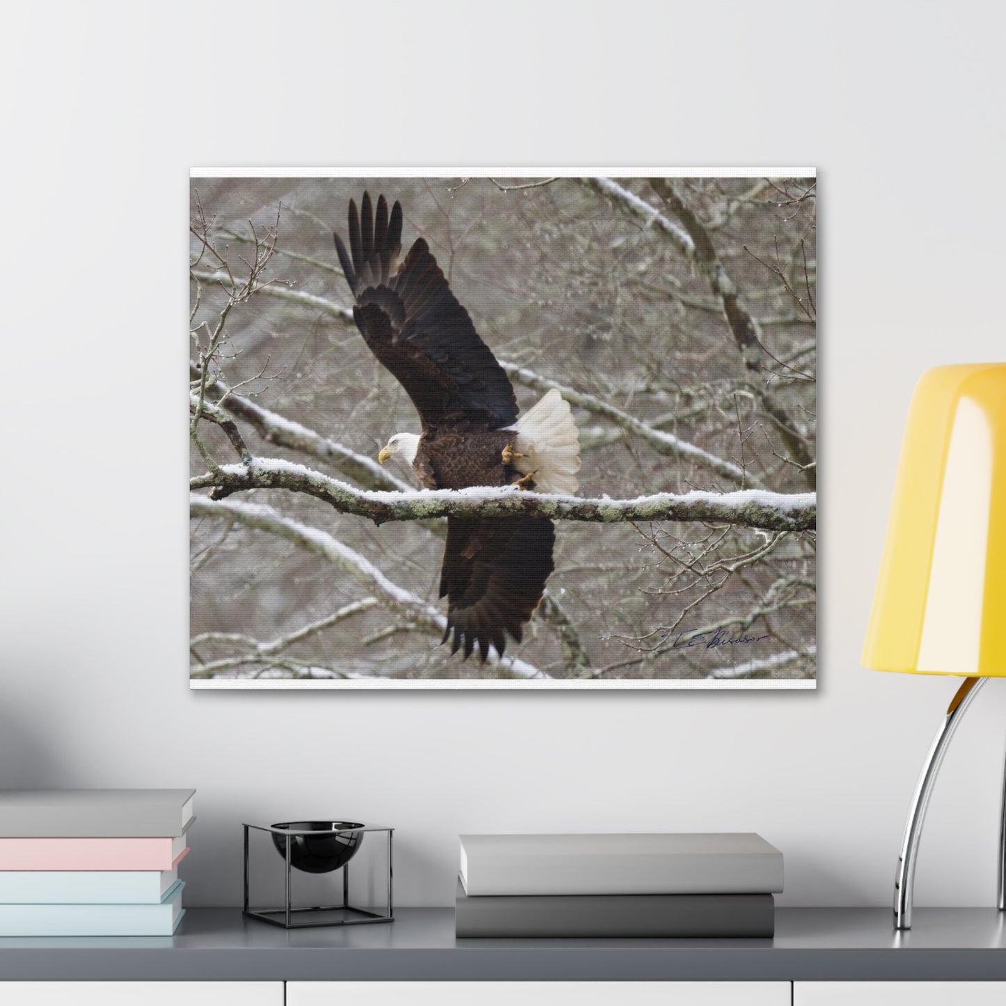 Canvas Gallery Wraps