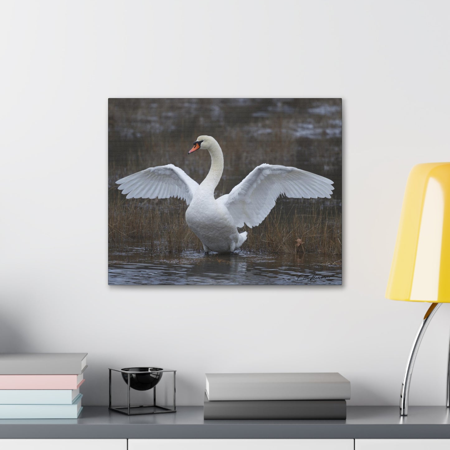 Amazing Swan Photograph on Canvas