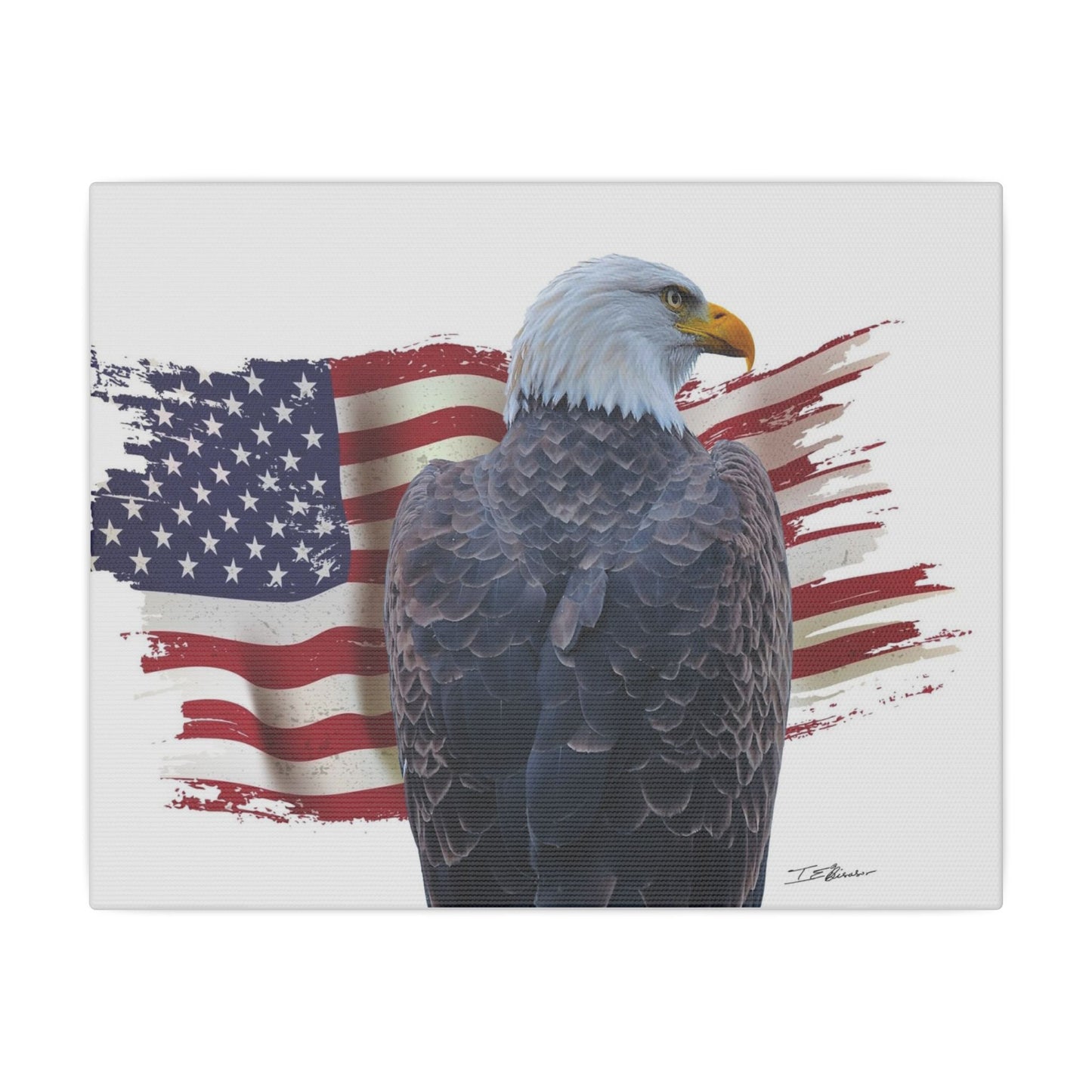 All American Artwork - Bald Eagle and American Flag