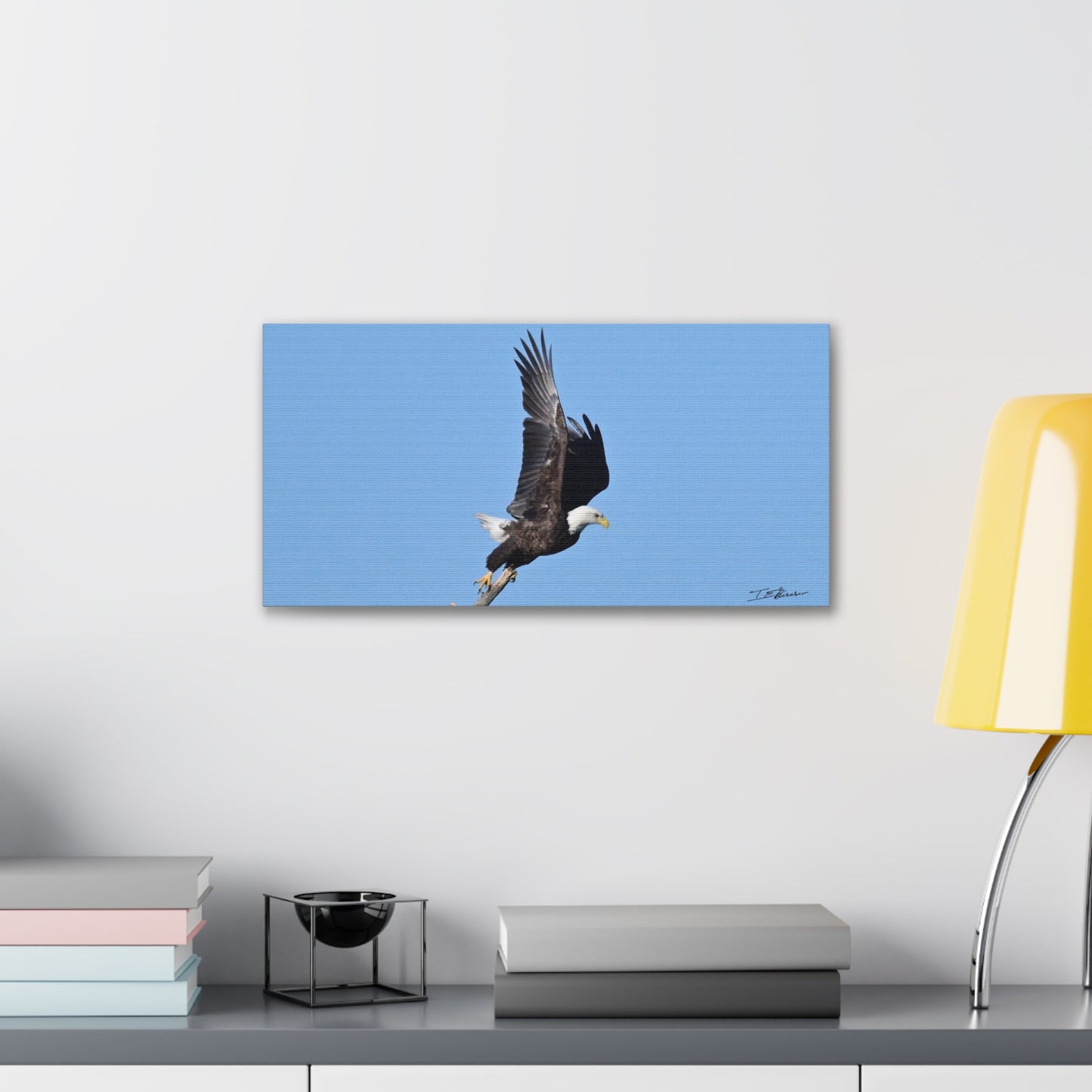 Majestic Bald Eagle Photograph on Canvas