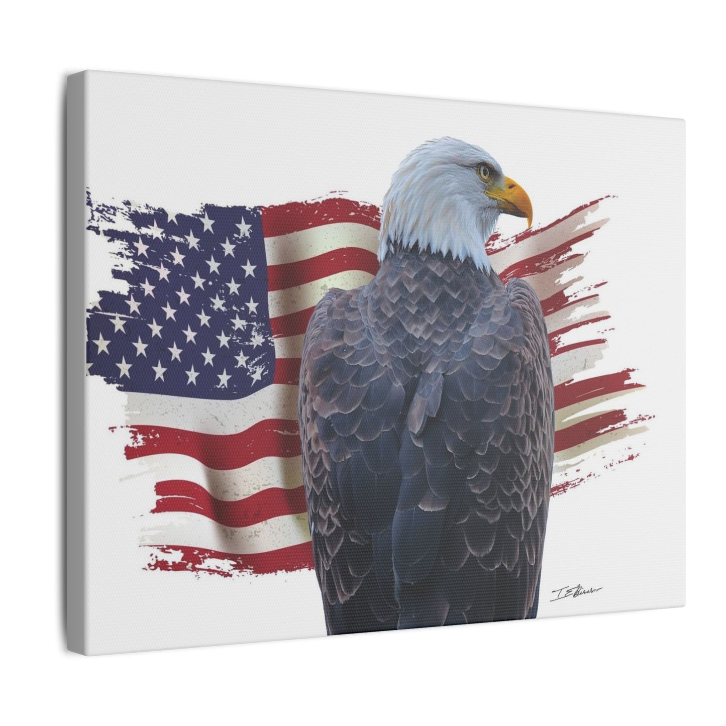All American Artwork - Bald Eagle and American Flag