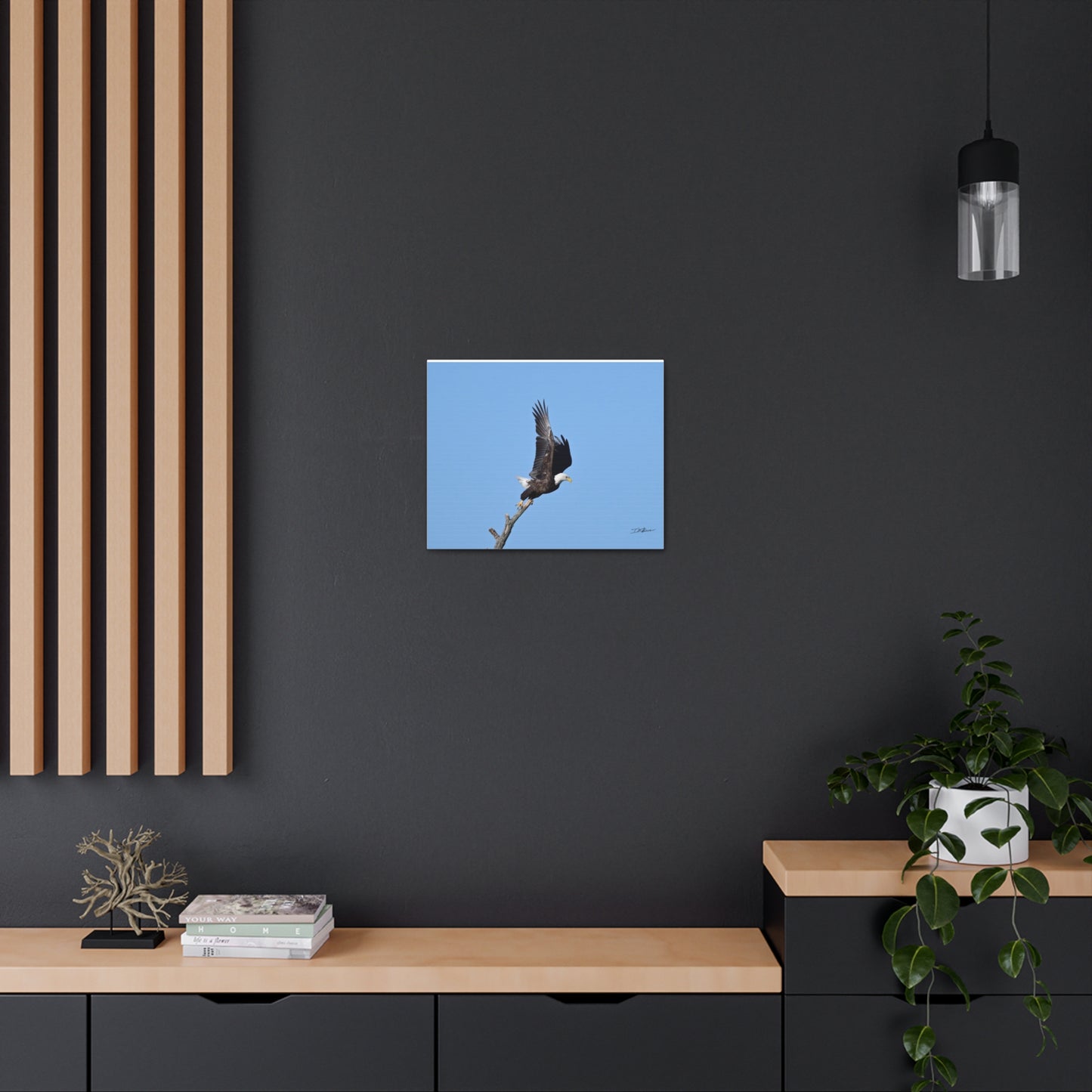 Majestic Bald Eagle Photograph on Canvas