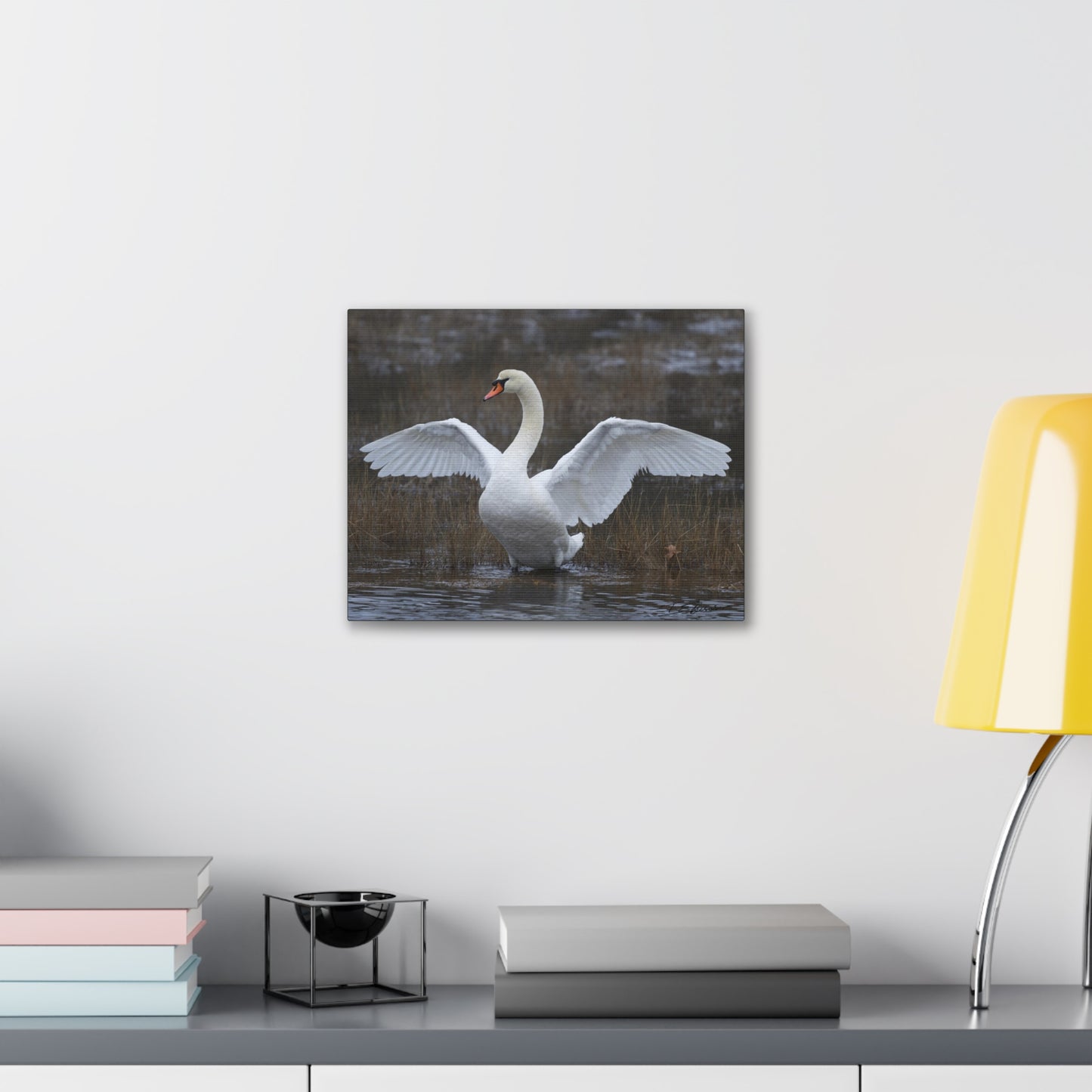 Amazing Swan Photograph on Canvas
