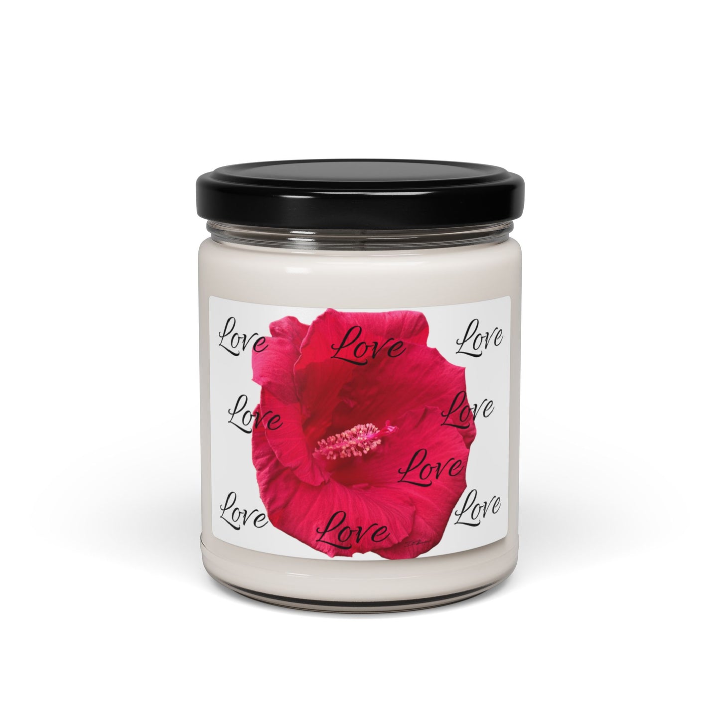My Perfect Valentine Scented Soy Candle, 9oz