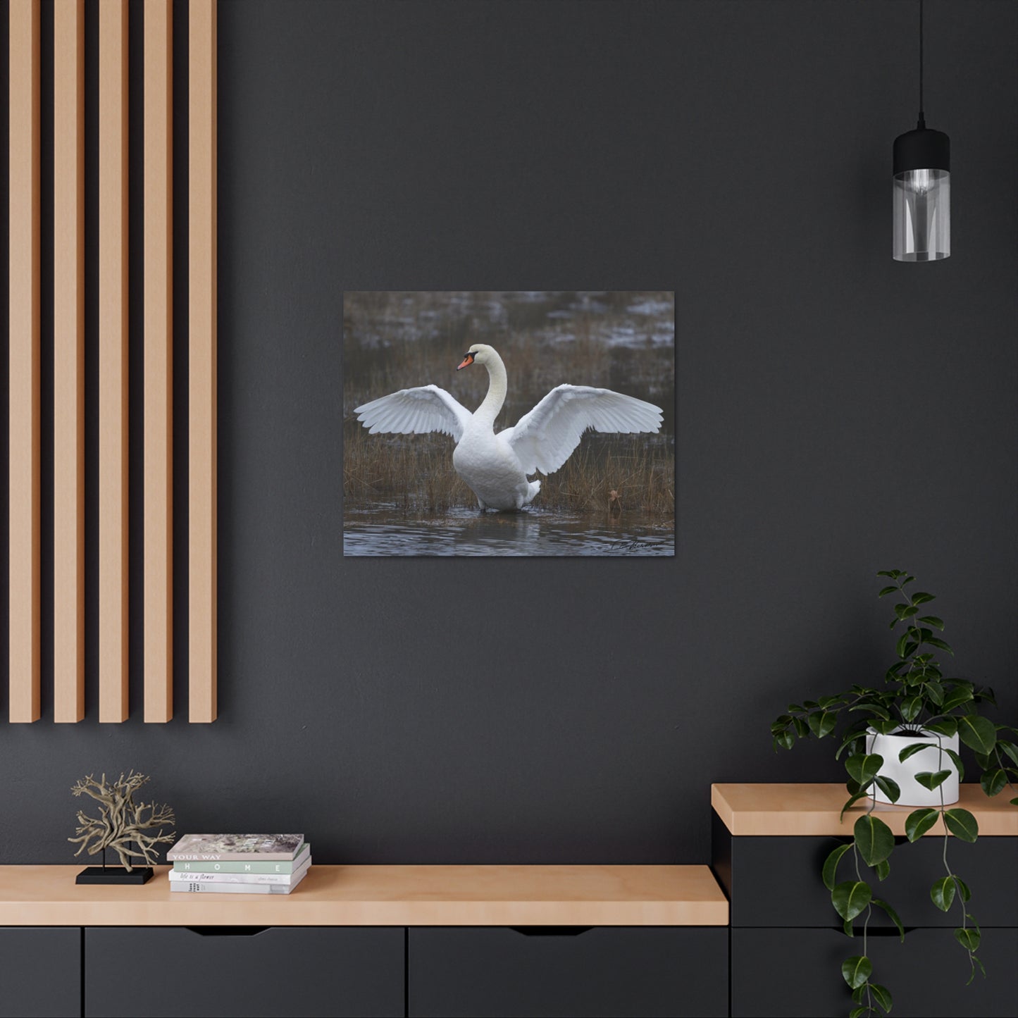 Amazing Swan Photograph on Canvas