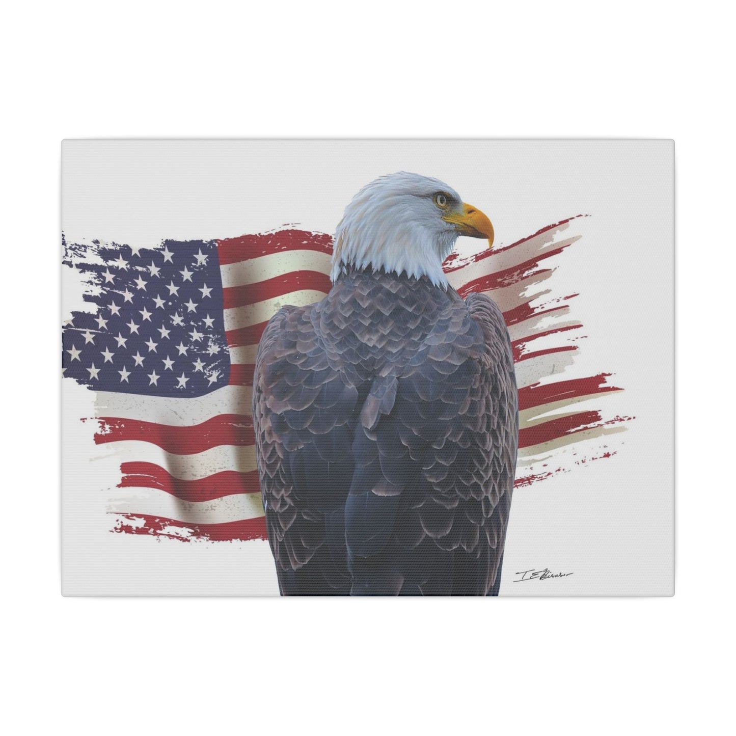 All American Artwork - Bald Eagle and American Flag