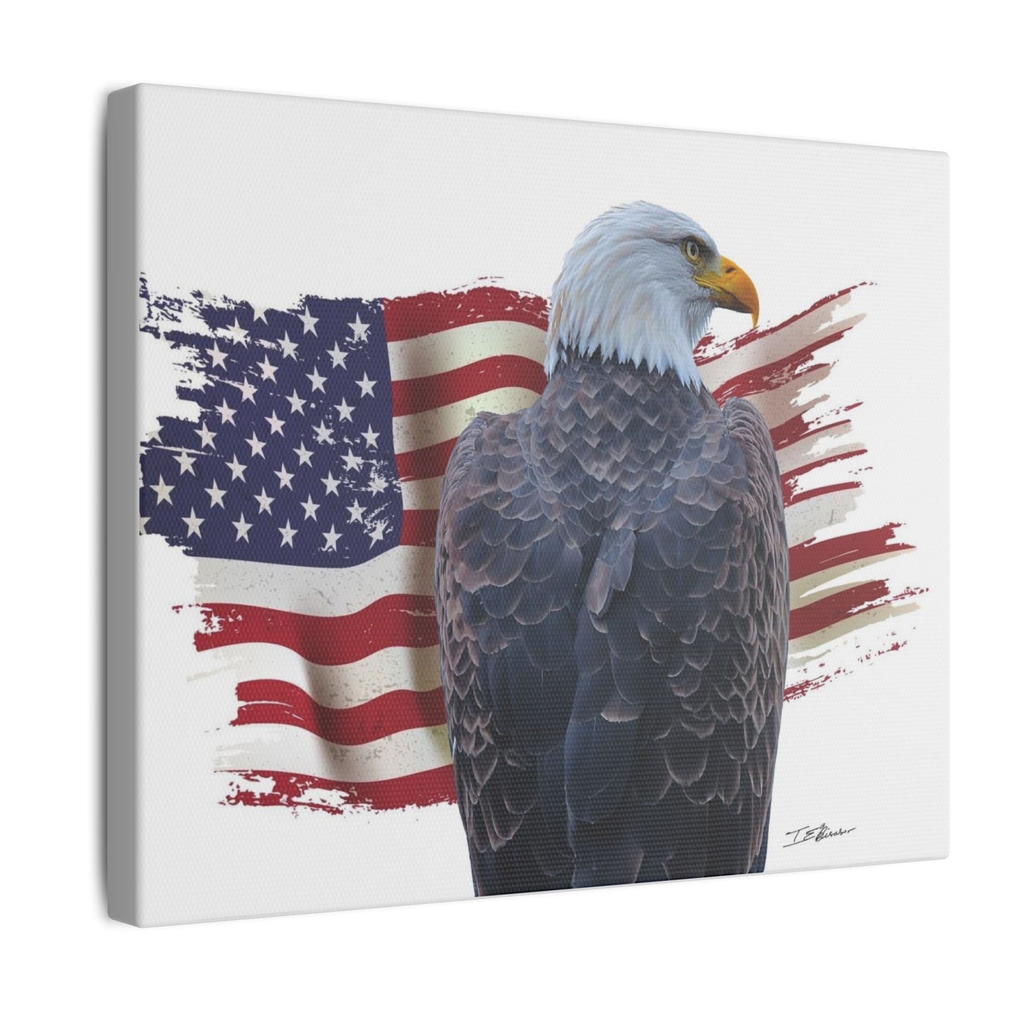 All American Artwork - Bald Eagle and American Flag