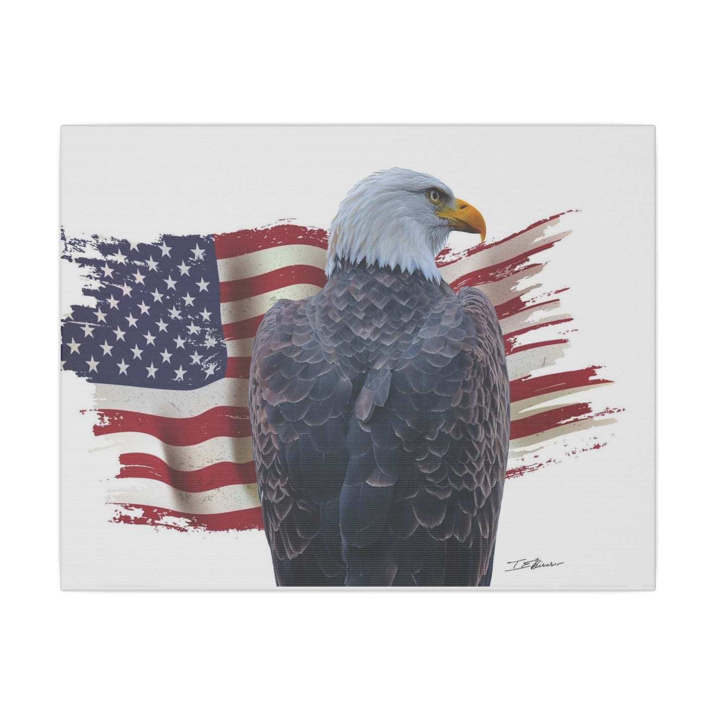 All American Artwork - Bald Eagle and American Flag