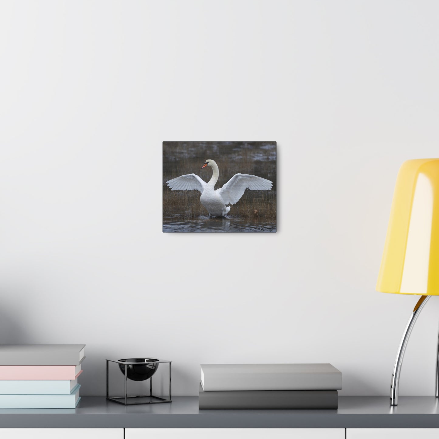 Amazing Swan Photograph on Canvas