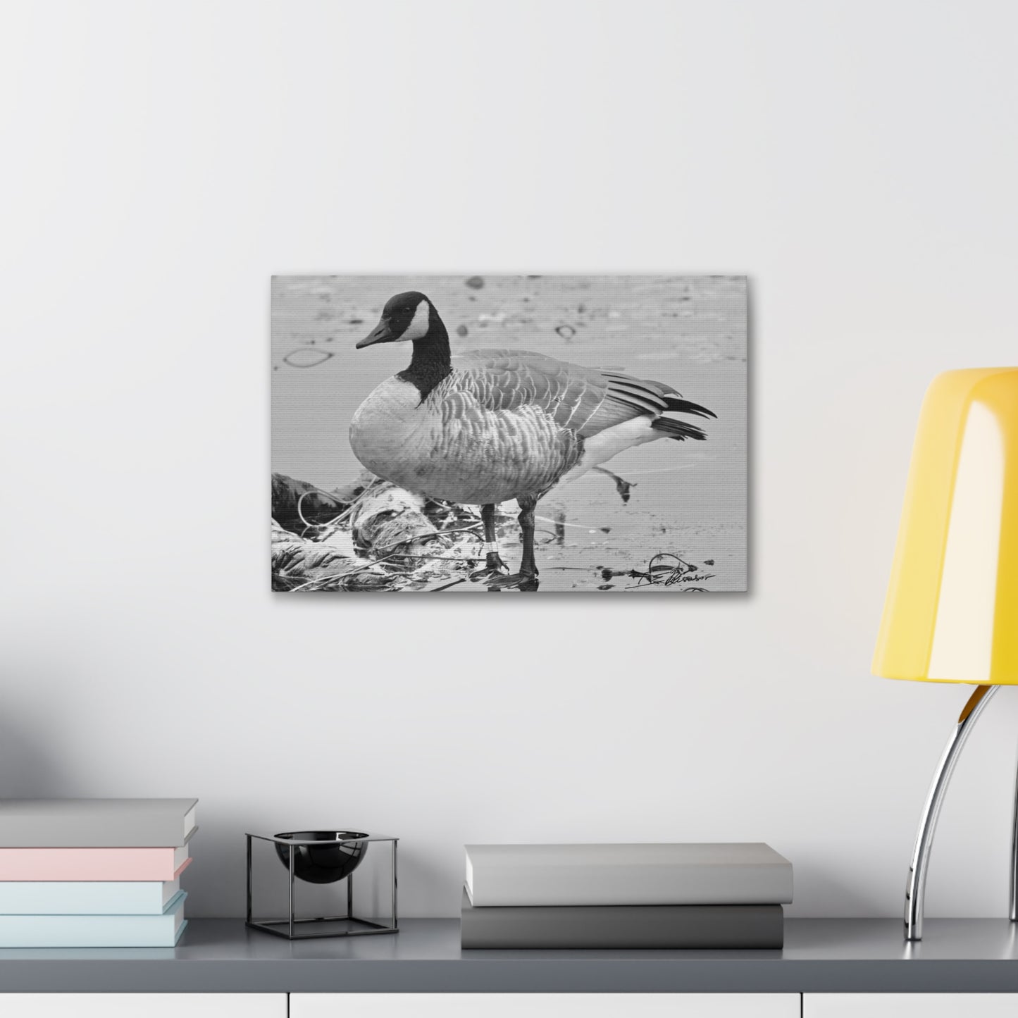 Black and White Photograph of a Banded Goose on Canvas