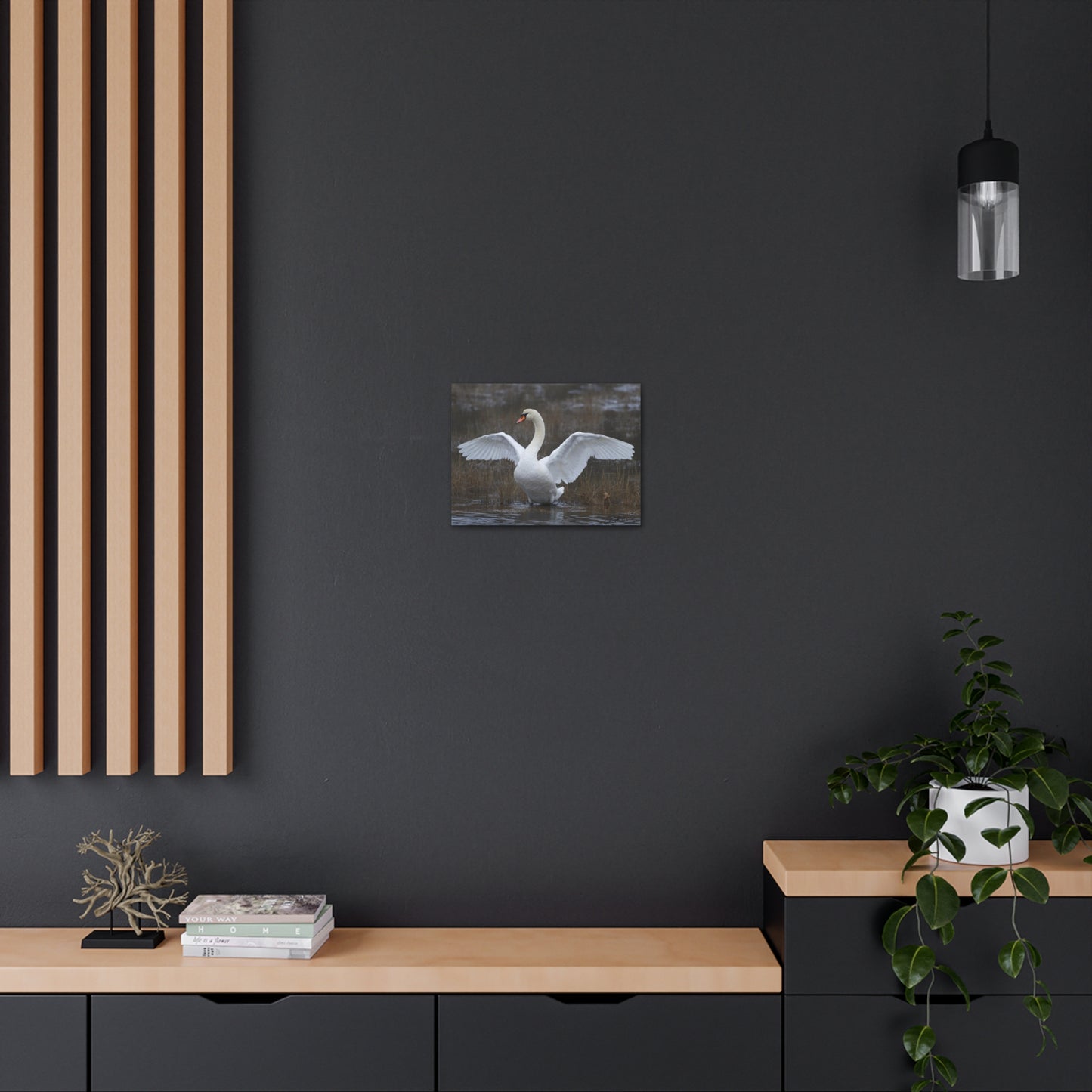 Amazing Swan Photograph on Canvas