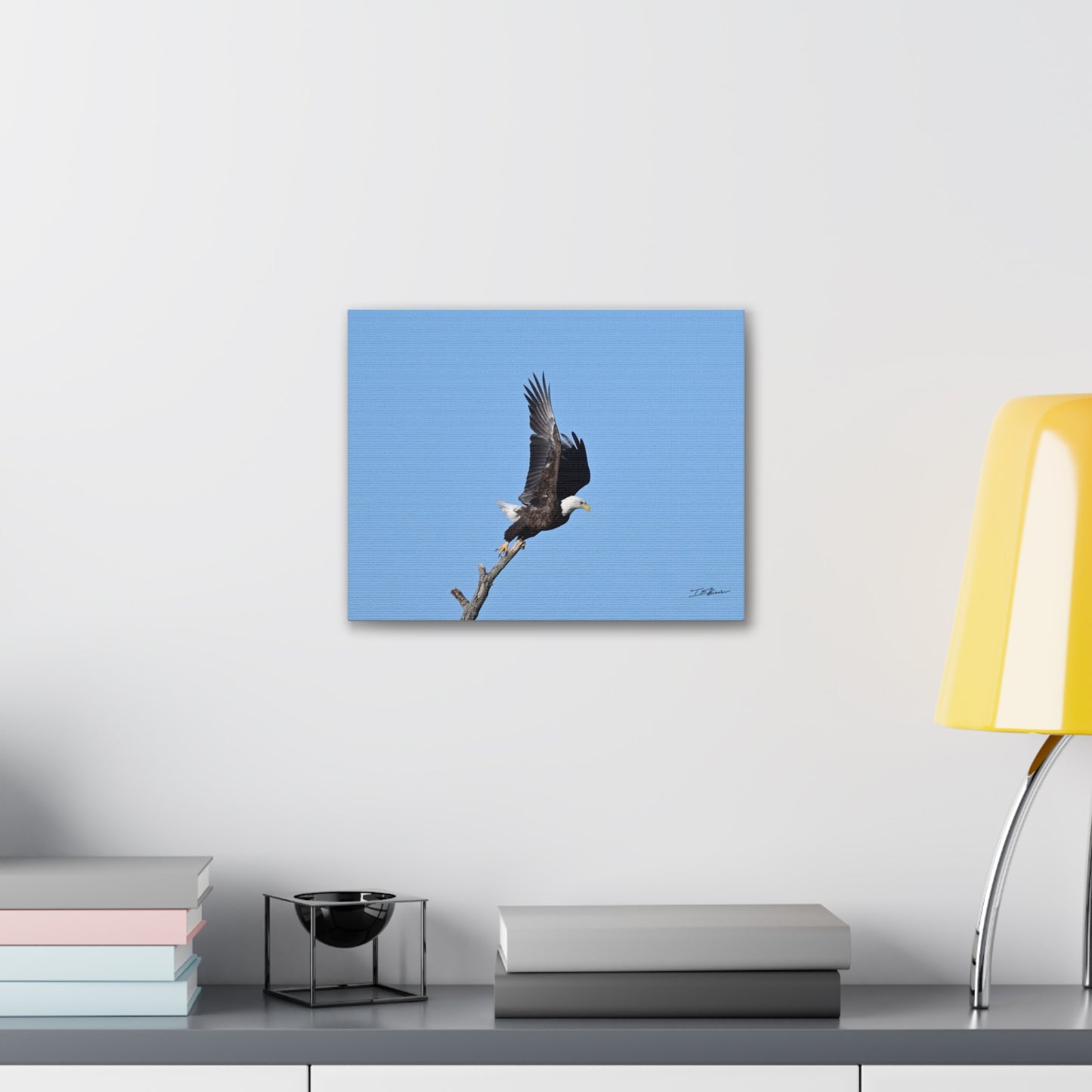 Majestic Bald Eagle Photograph on Canvas