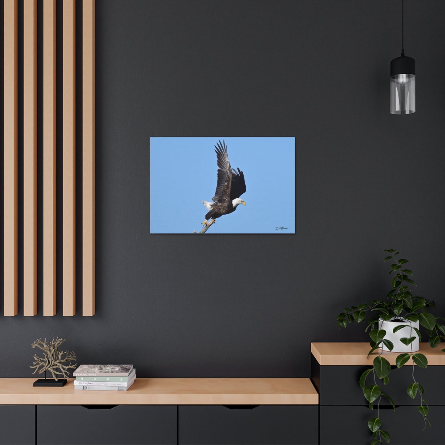 Majestic Bald Eagle Photograph on Canvas