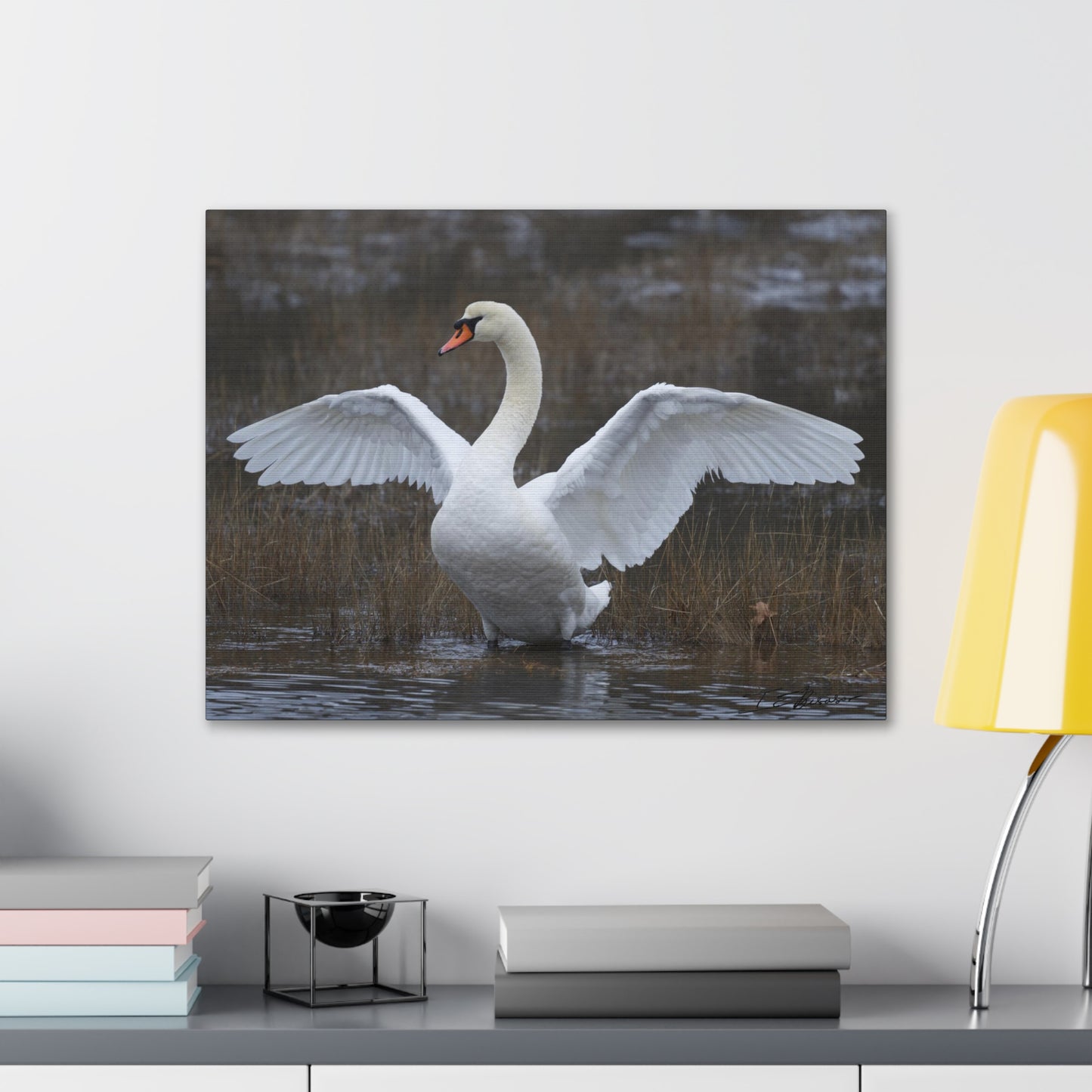 Amazing Swan Photograph on Canvas