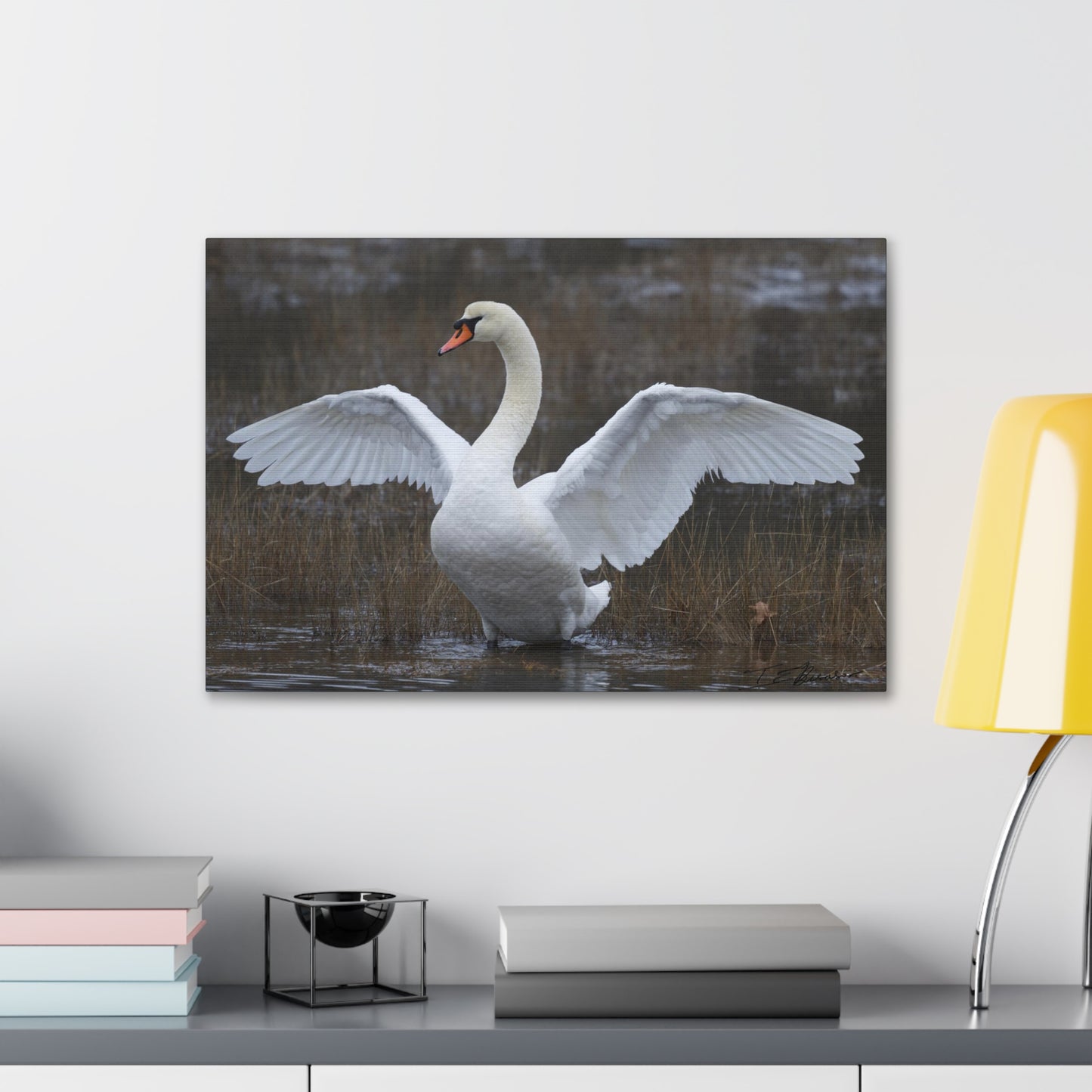 Amazing Swan Photograph on Canvas
