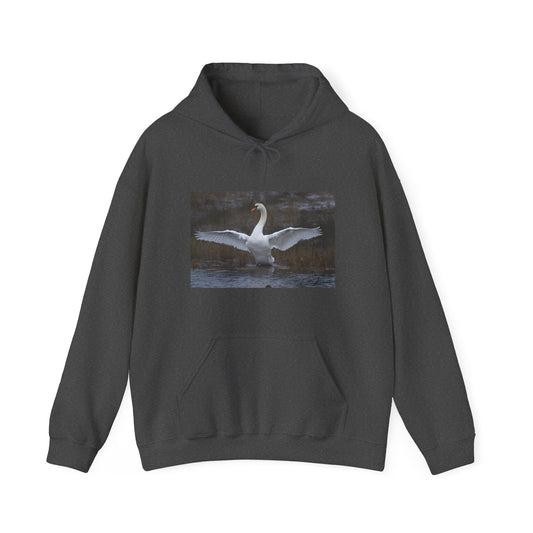 Amazing Swan Sweatshirt