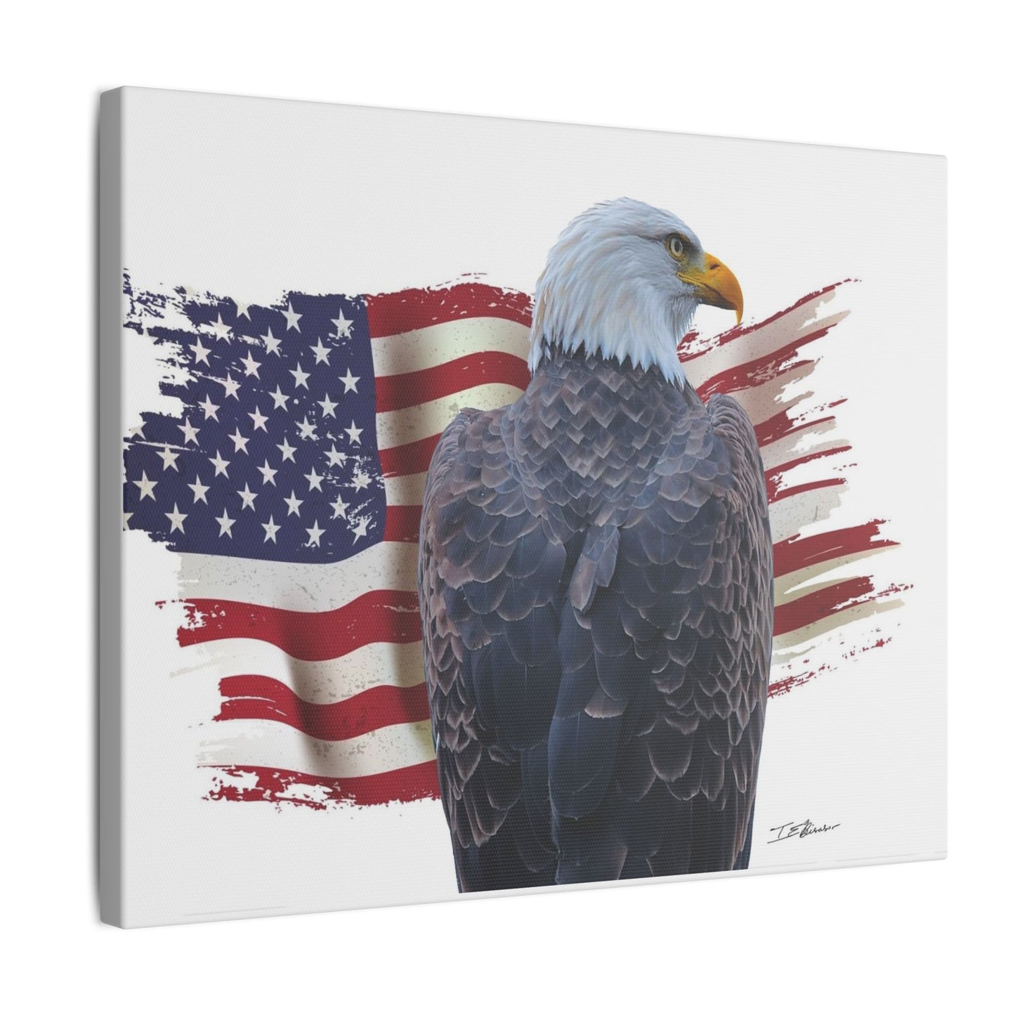 All American Artwork - Bald Eagle and American Flag
