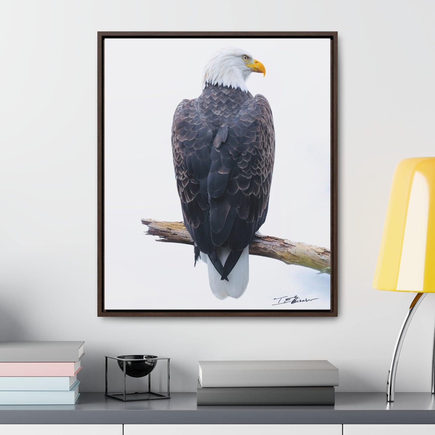 Majestic Bald Eagle Photograph on Canvas