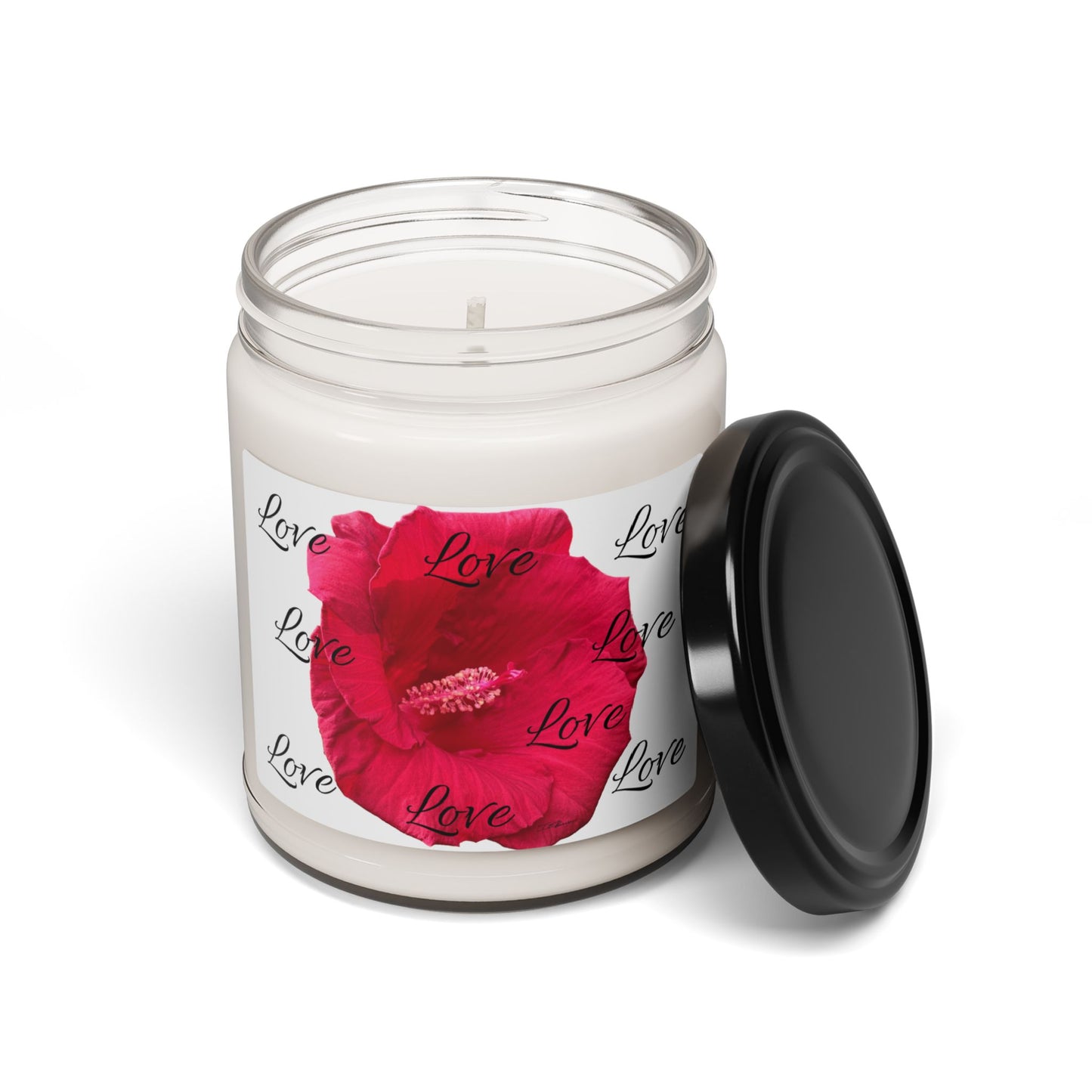 My Perfect Valentine Scented Soy Candle, 9oz