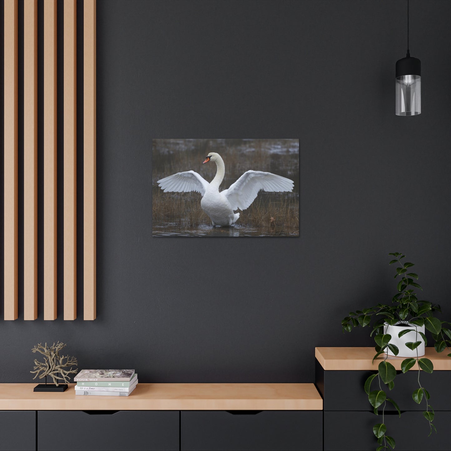 Amazing Swan Photograph on Canvas