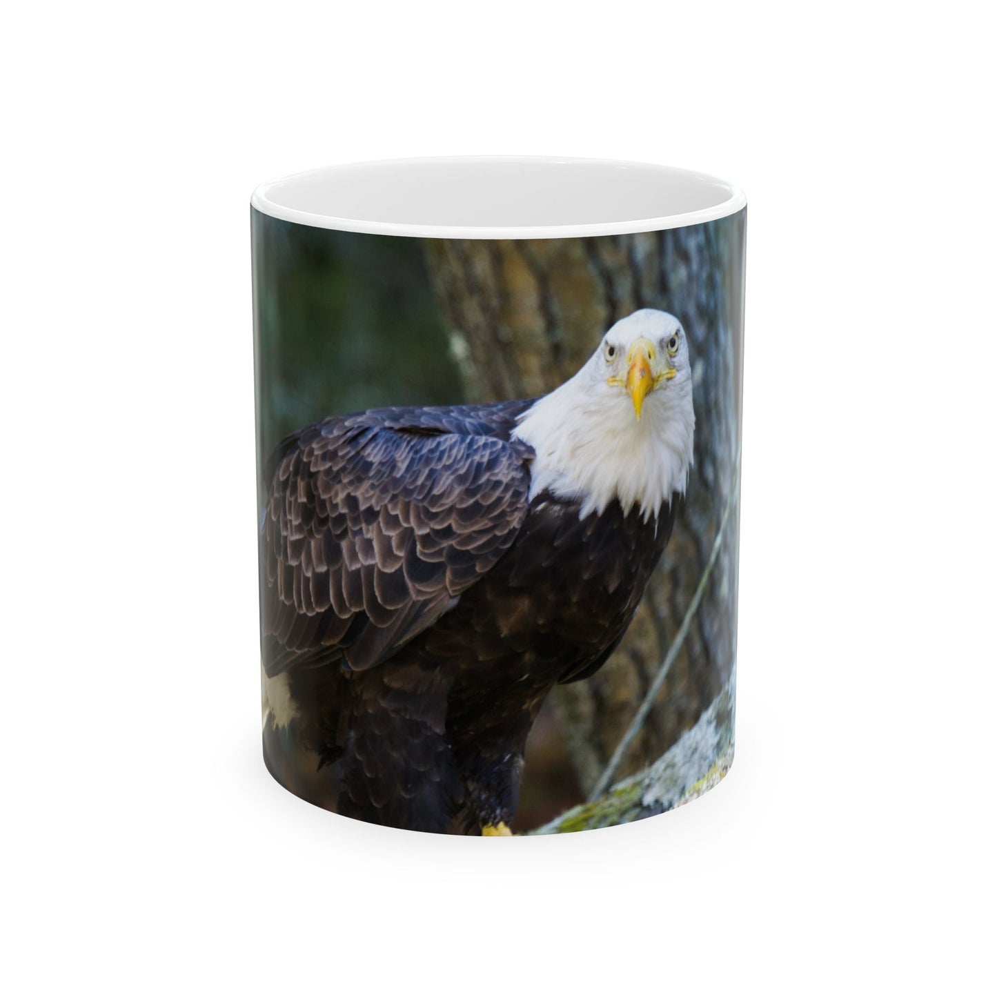 Mug - Beautiful Bald Eagle Photograph Ceramic Mug (11oz, 15oz)
