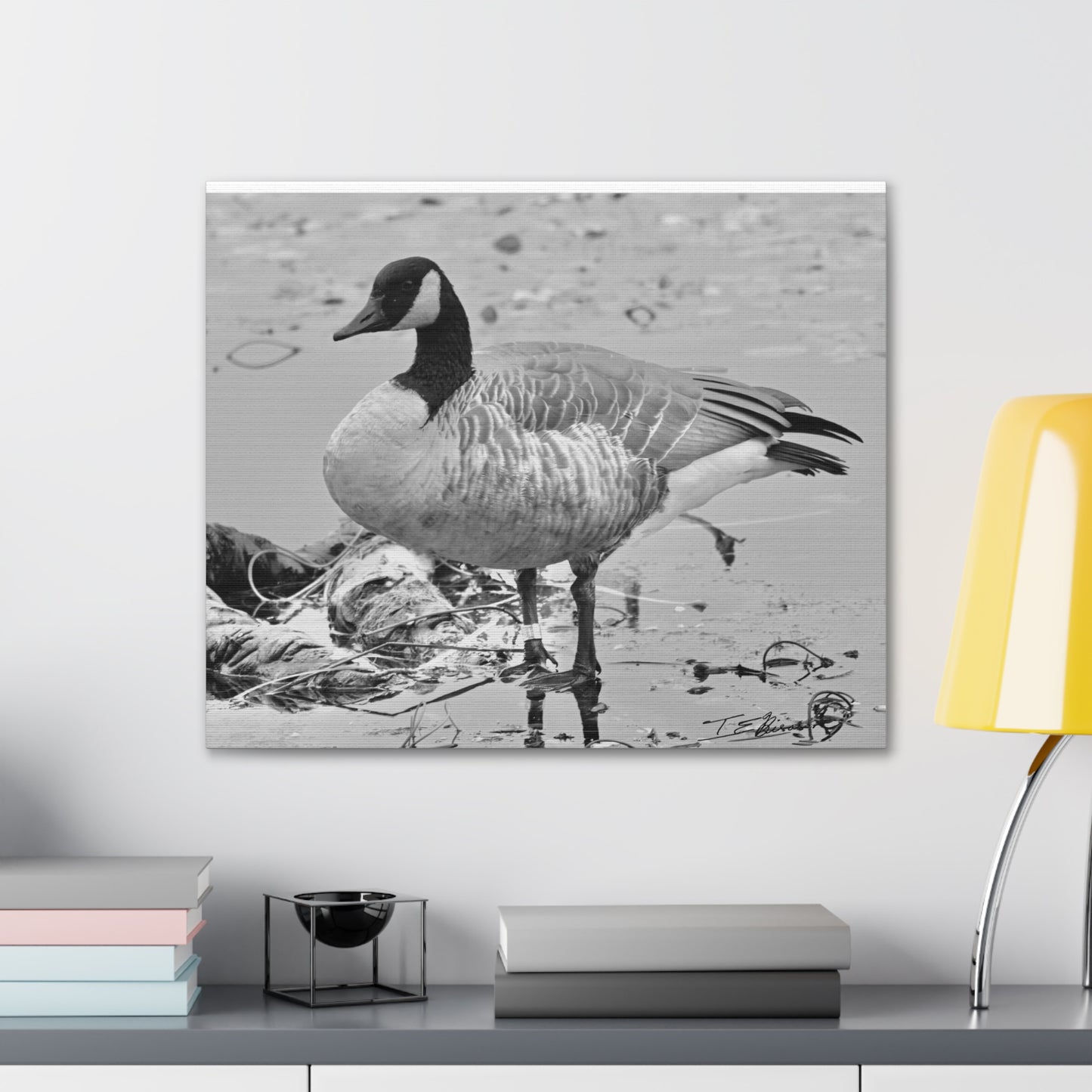 Black and White Photograph of a Banded Goose on Canvas