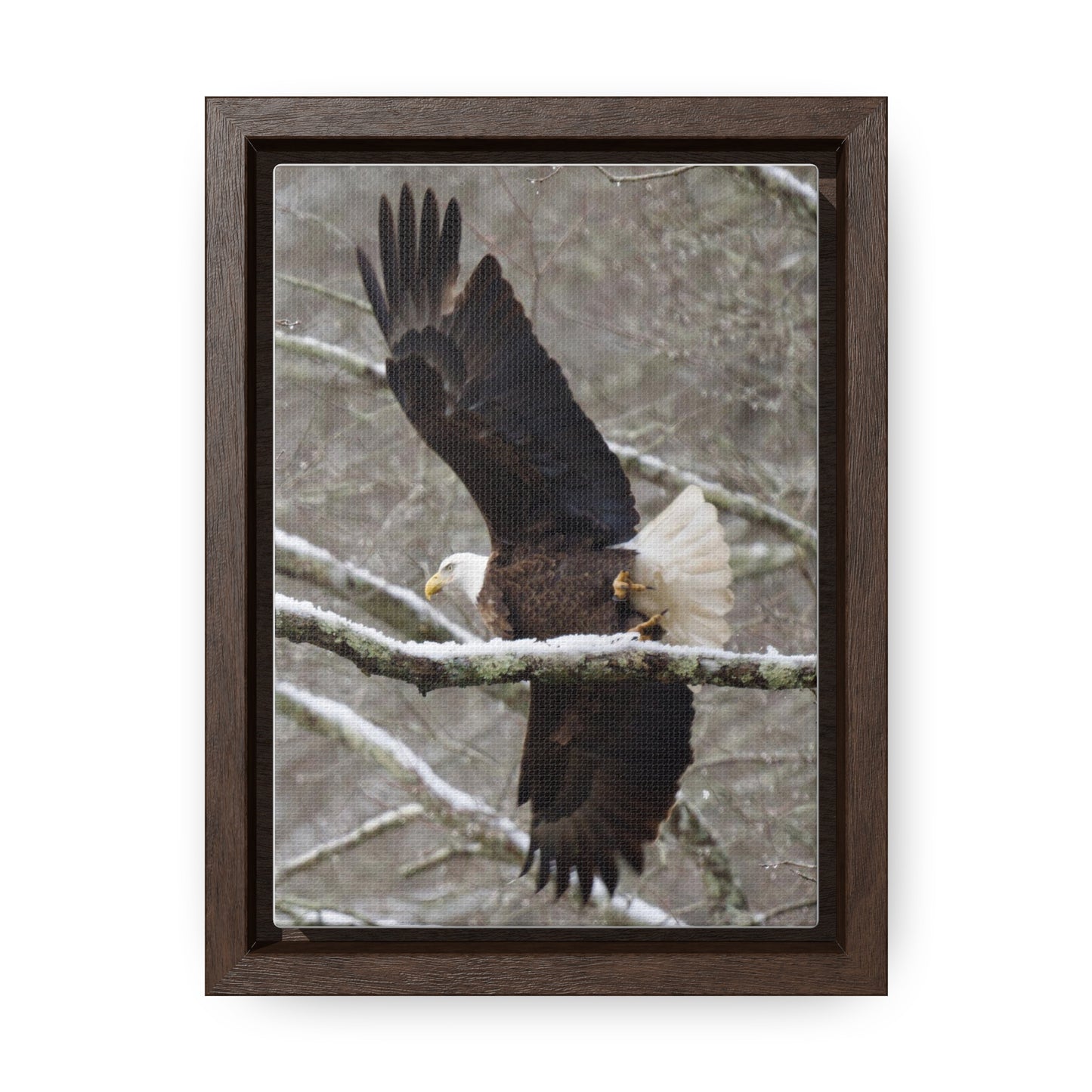 Gallery Canvas Wraps, Vertical Frame