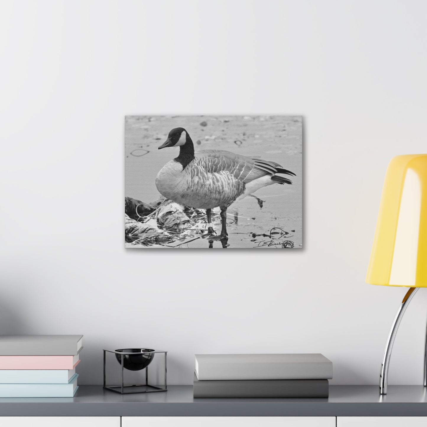 Black and White Photograph of a Banded Goose on Canvas